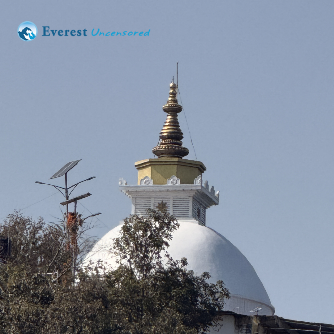 DPS Senior School Hike - Grade VI, VII & VIII | World Peace Pagoda Hike