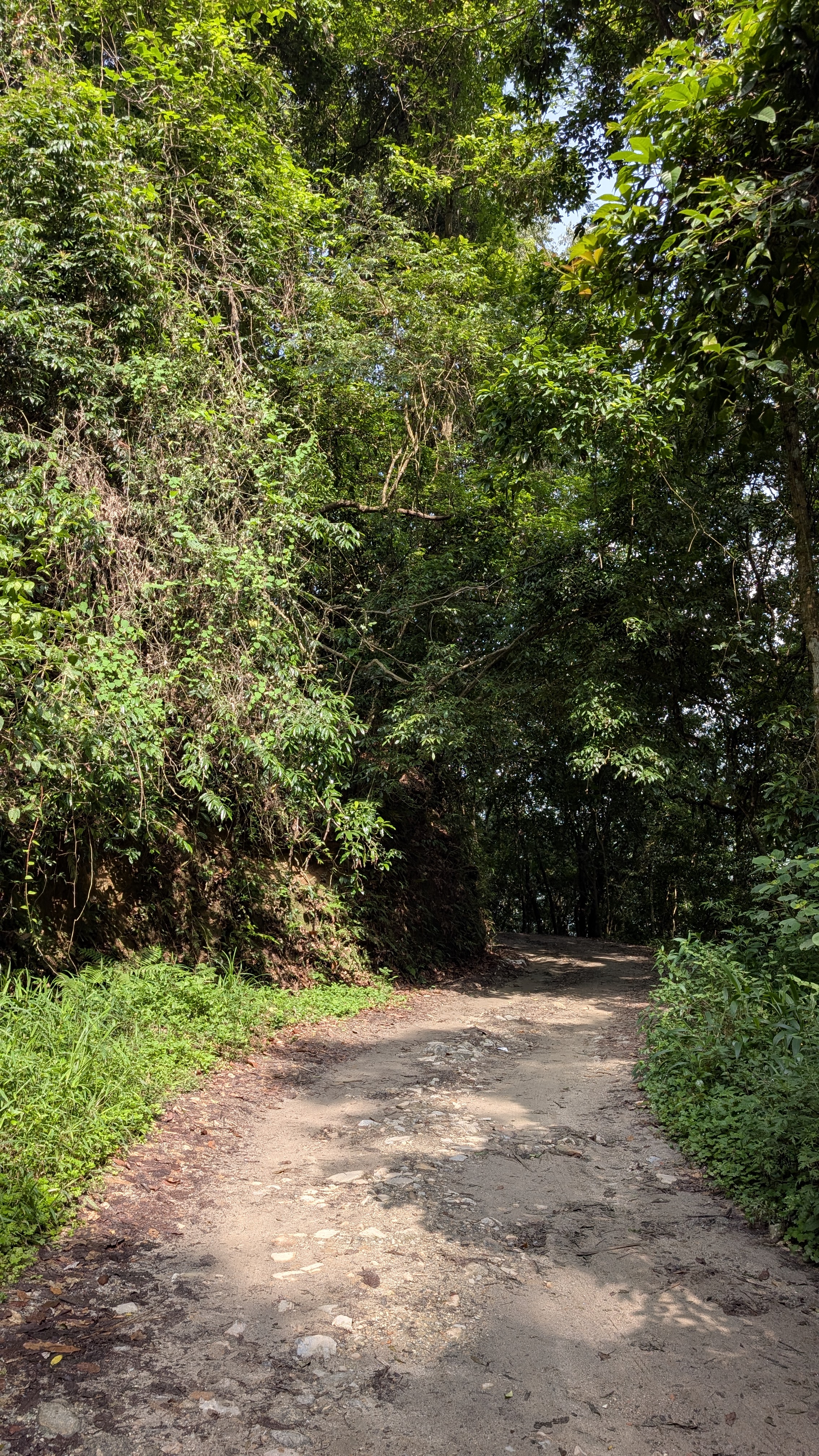 Shivapuri to Sundarijal Hiking Adventure with Deerhold