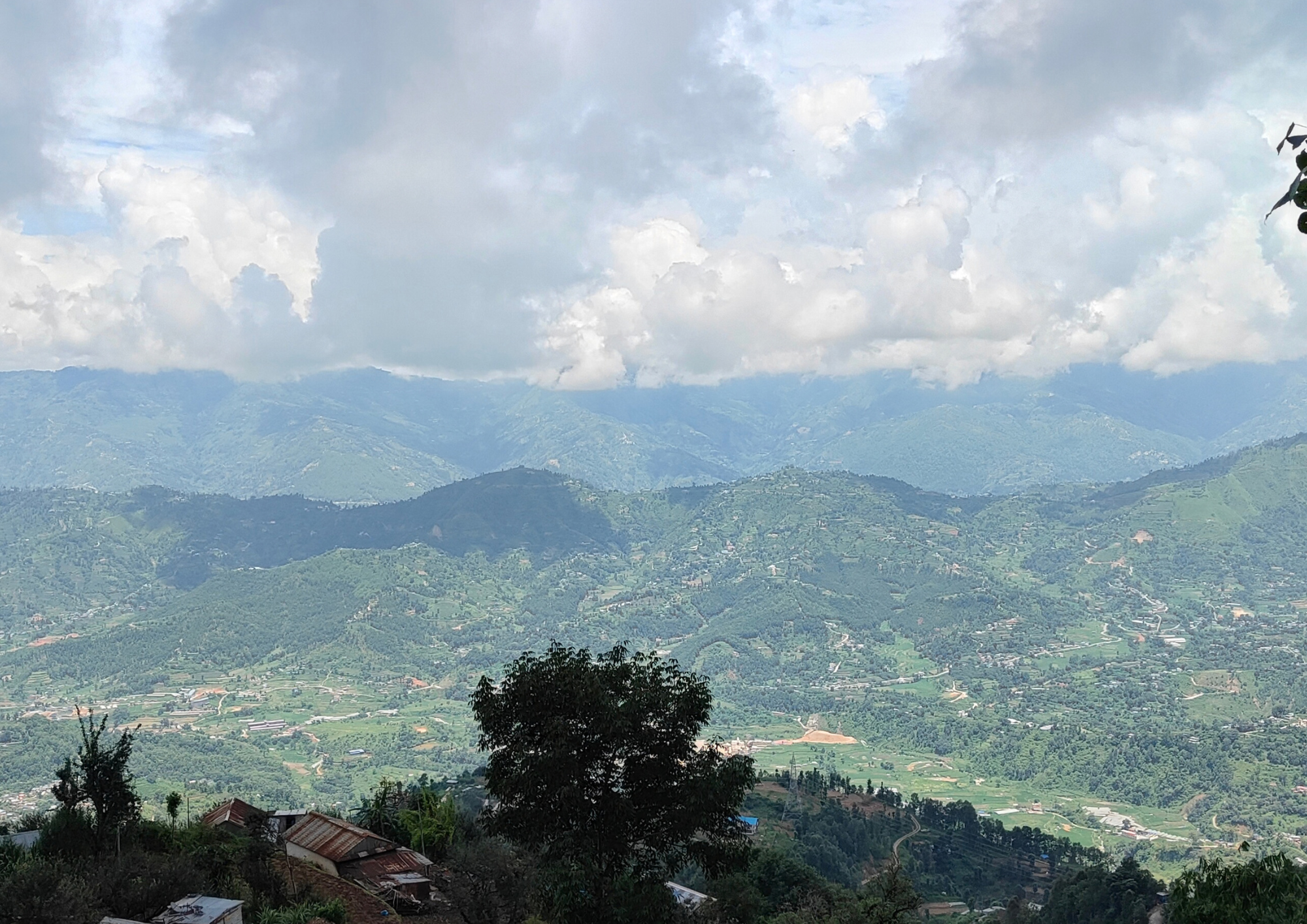 A Day of Adventure: Hiking to Kafal Chaur