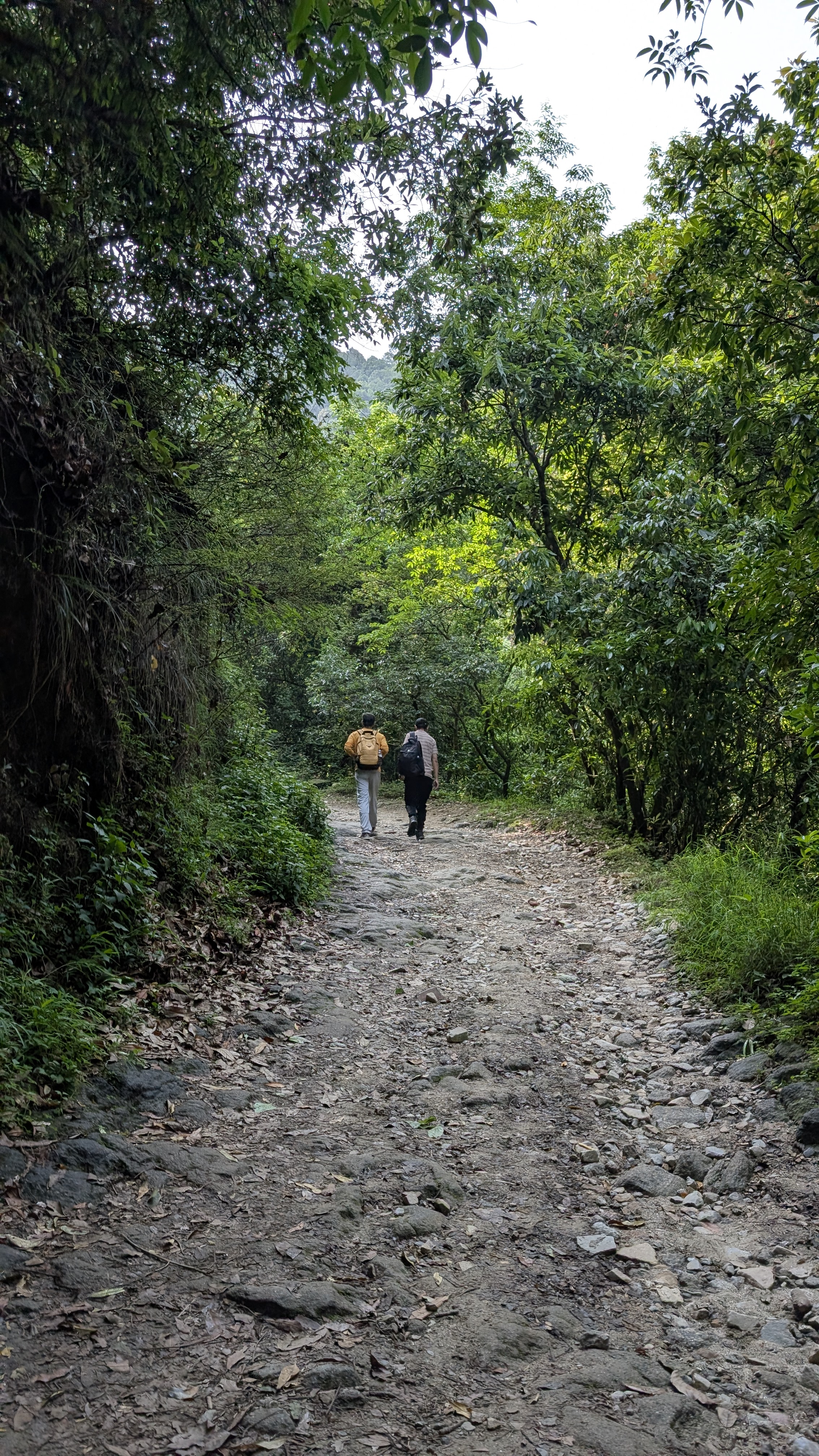 Shivapuri to Sundarijal Hiking Adventure with Deerhold