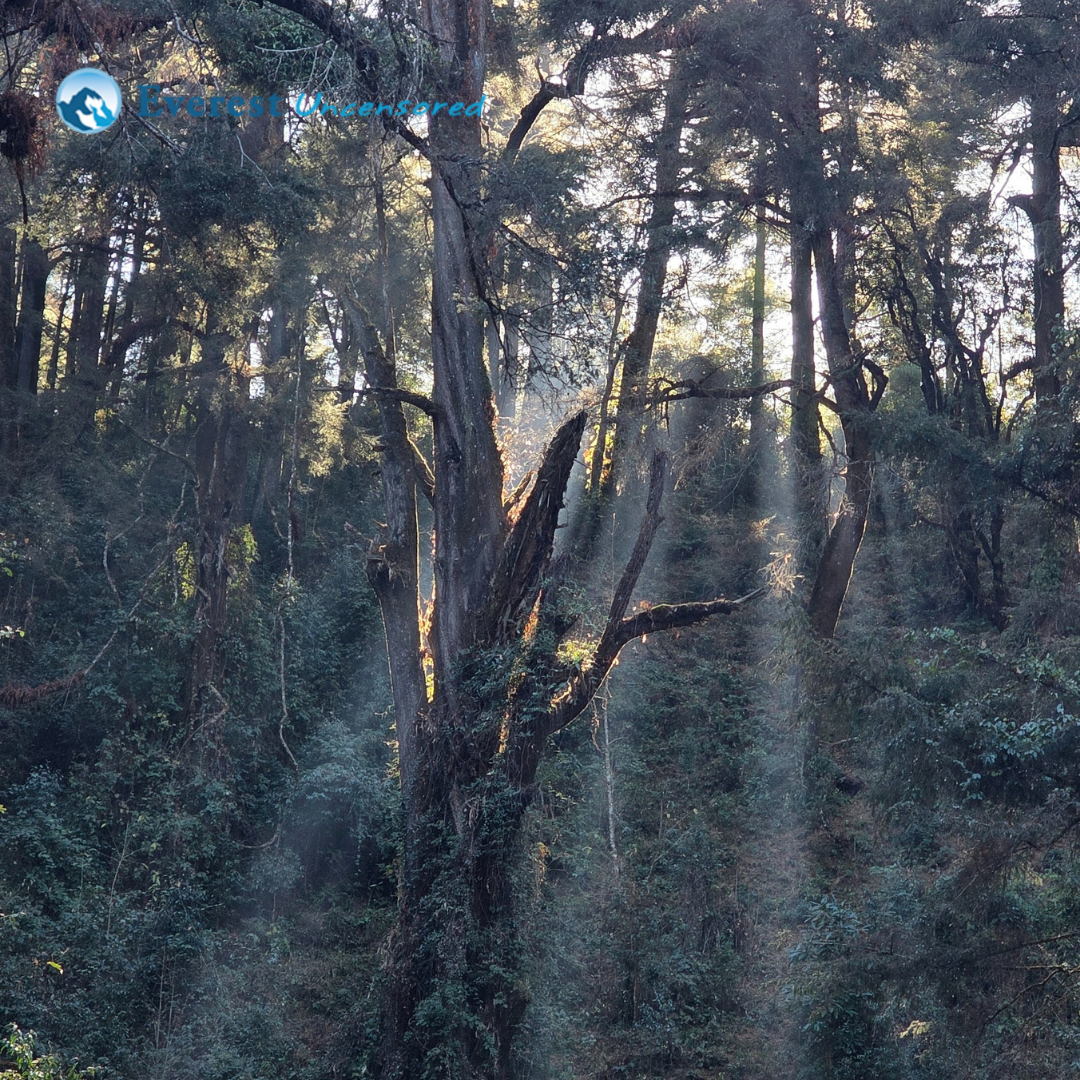 Two-Day Hike to Bethanchowk