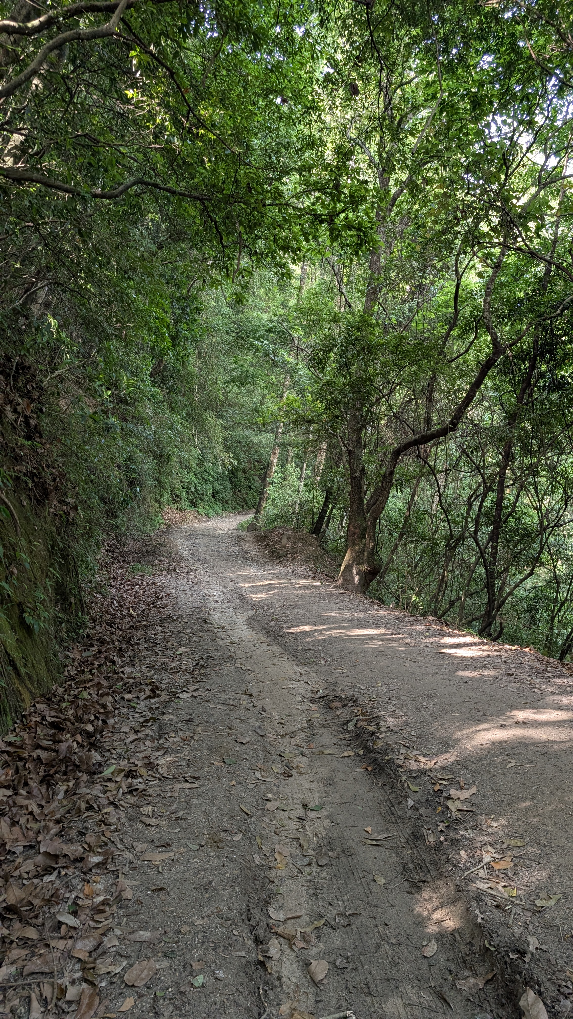 Shivapuri to Sundarijal Hiking Adventure with Deerhold