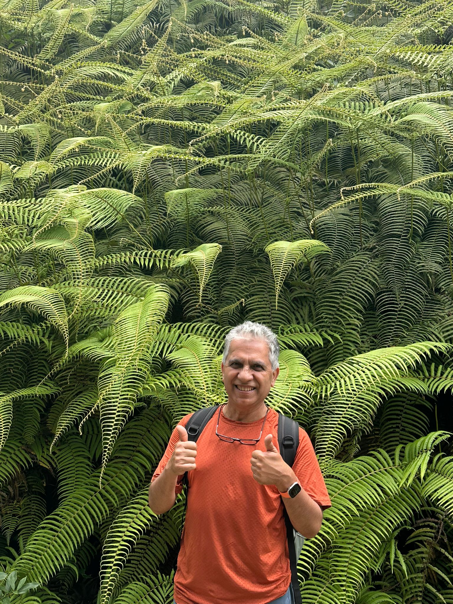 Hike to Chisapani