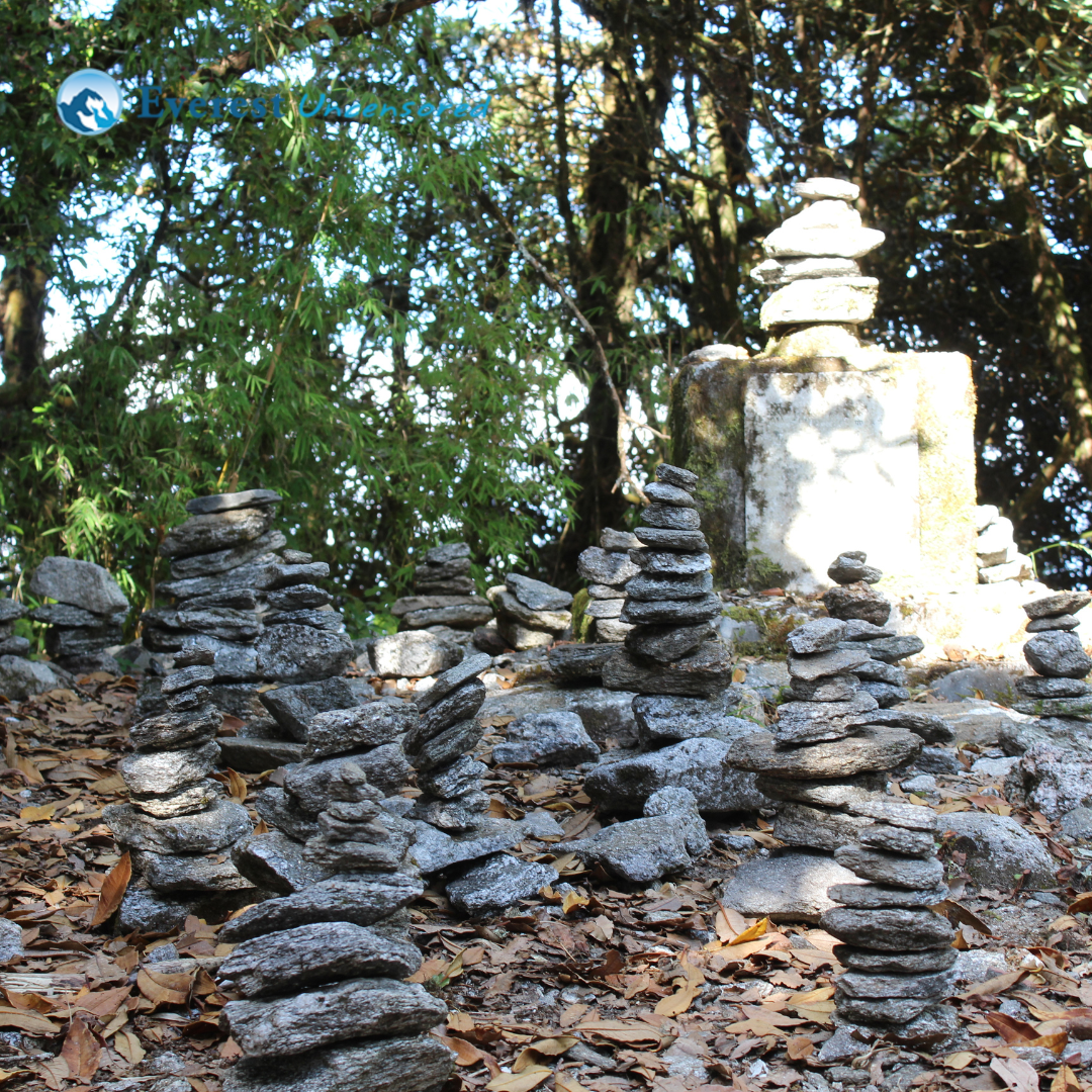 DSS Hike from Panimuhan to Baghdwar | Grade XII