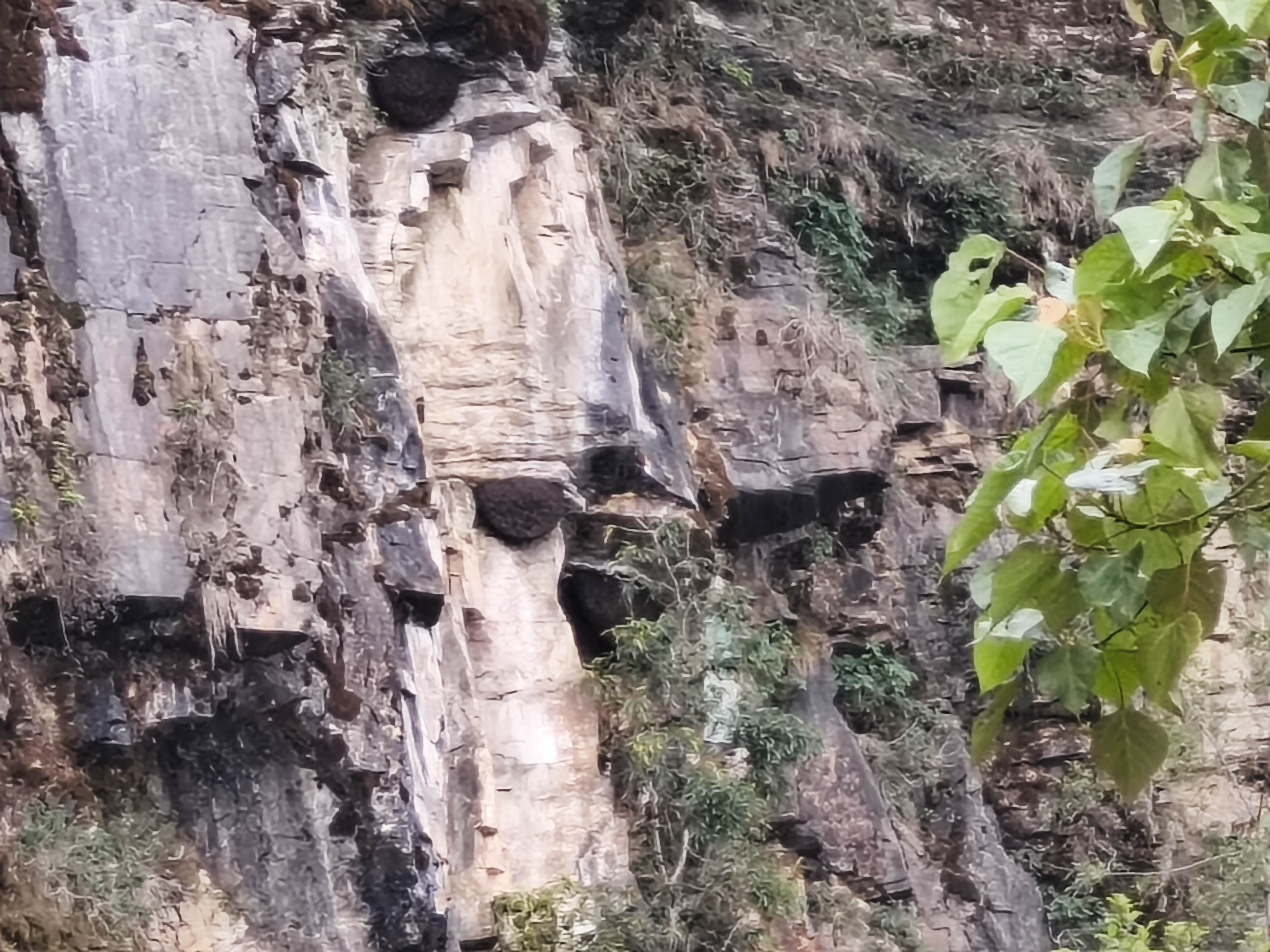 Staff Hike of Deerwalk Pokhara School - Bhalam To Aantighar Via Armalakot
