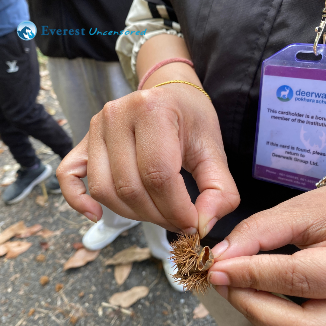 DPS Senior School Hike - Grade IX & X