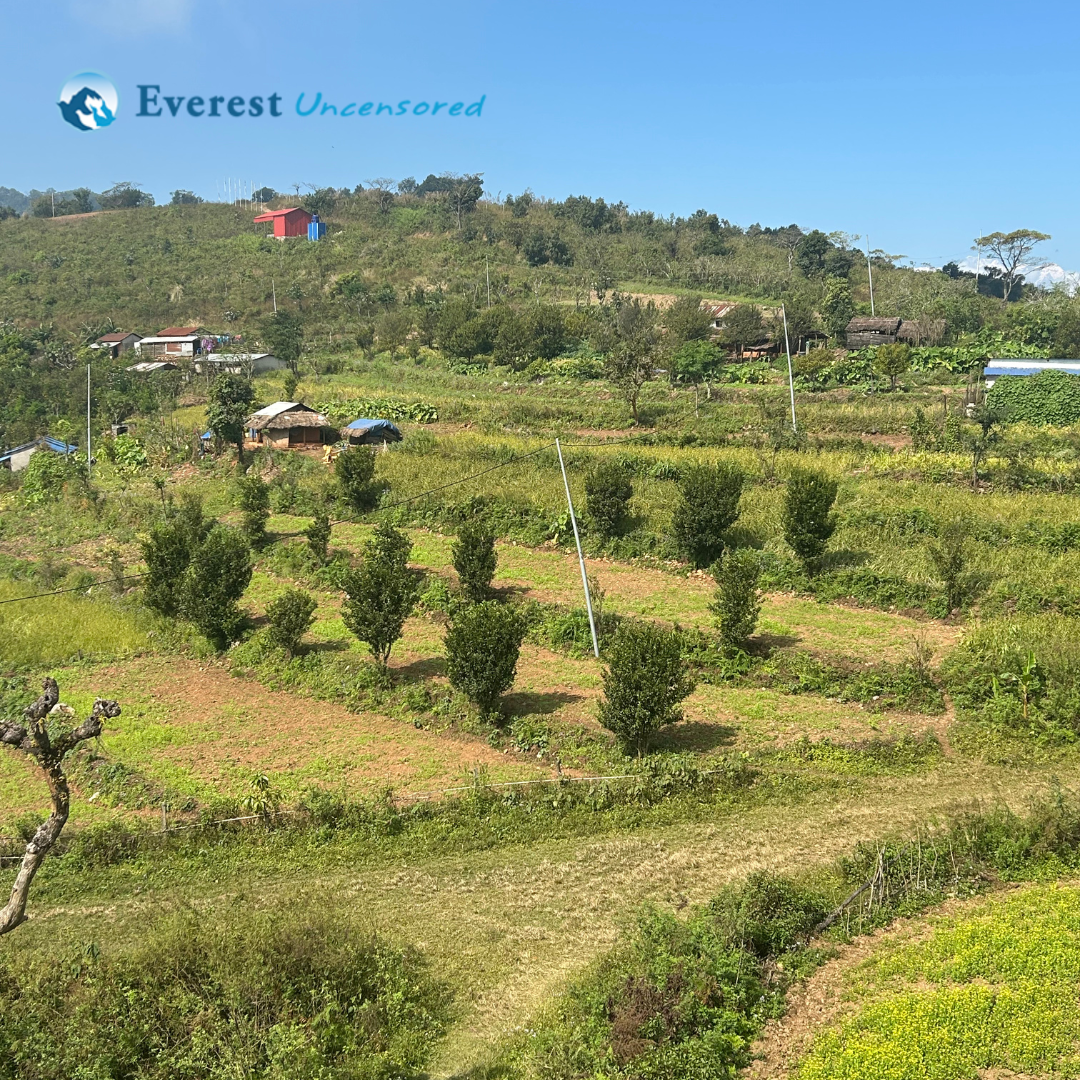 DBS Hike to Chaukidada