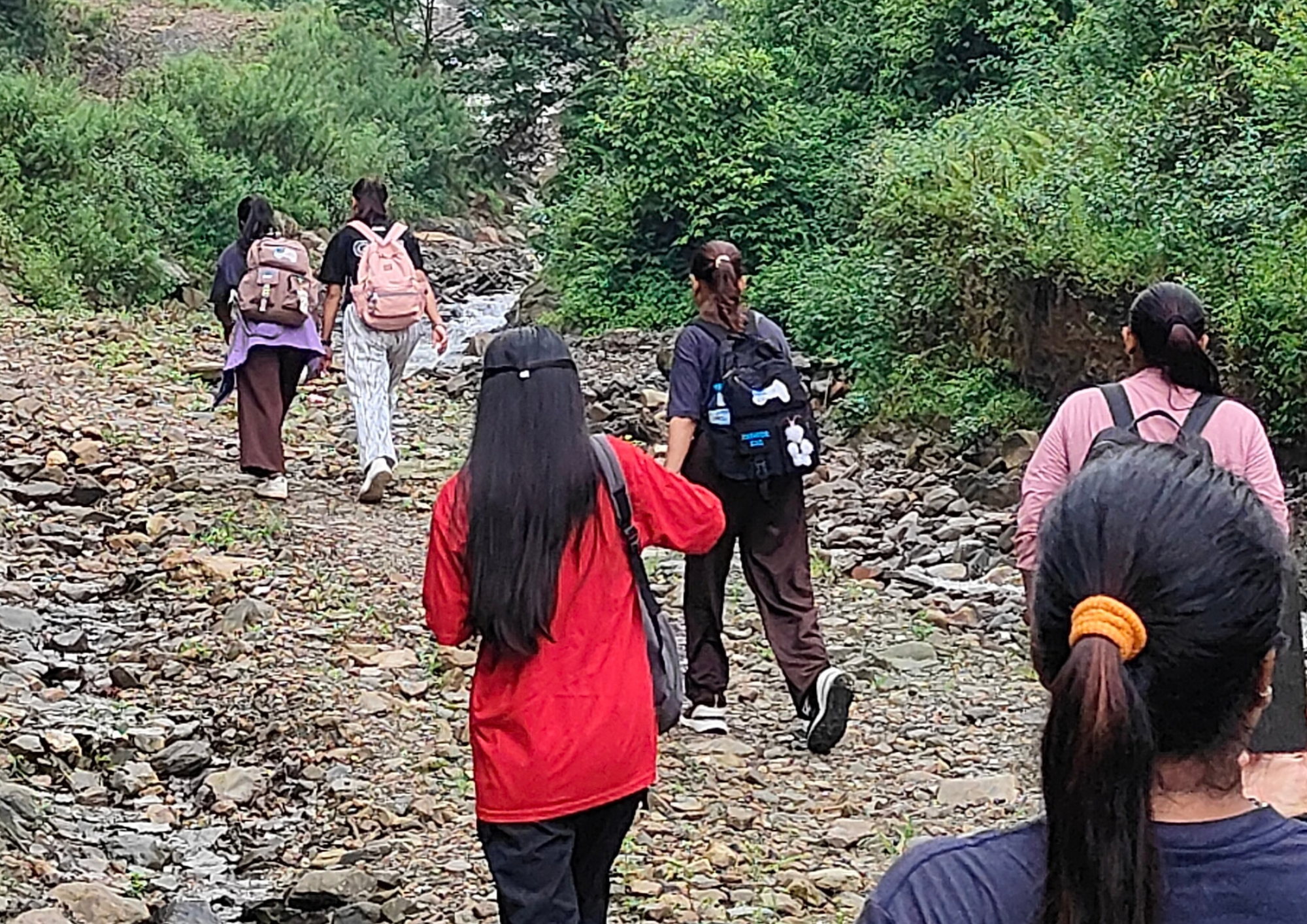 A Day of Adventure: Hiking to Kafal Chaur