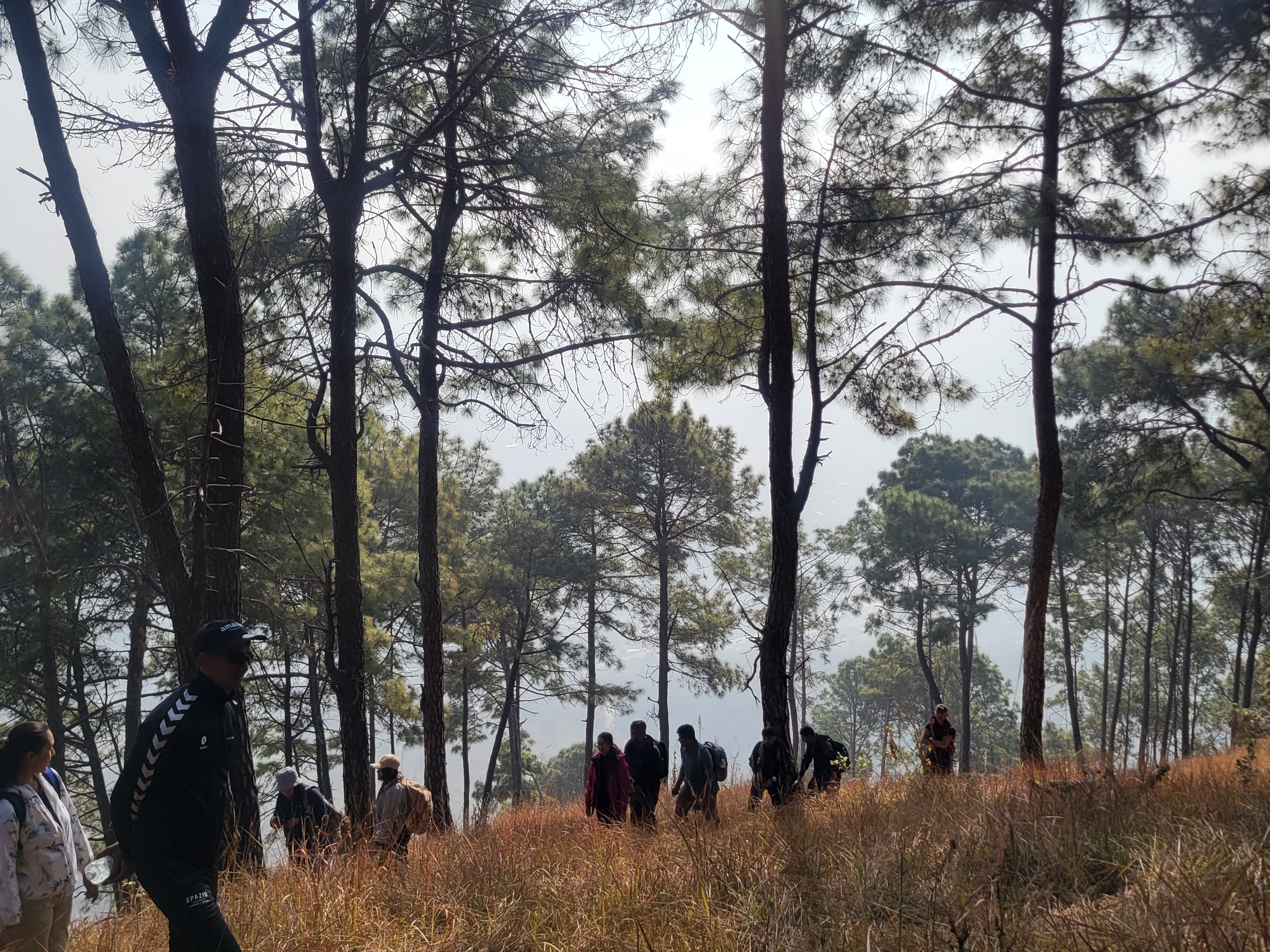 Hike from Hattiban to Chhap Dada