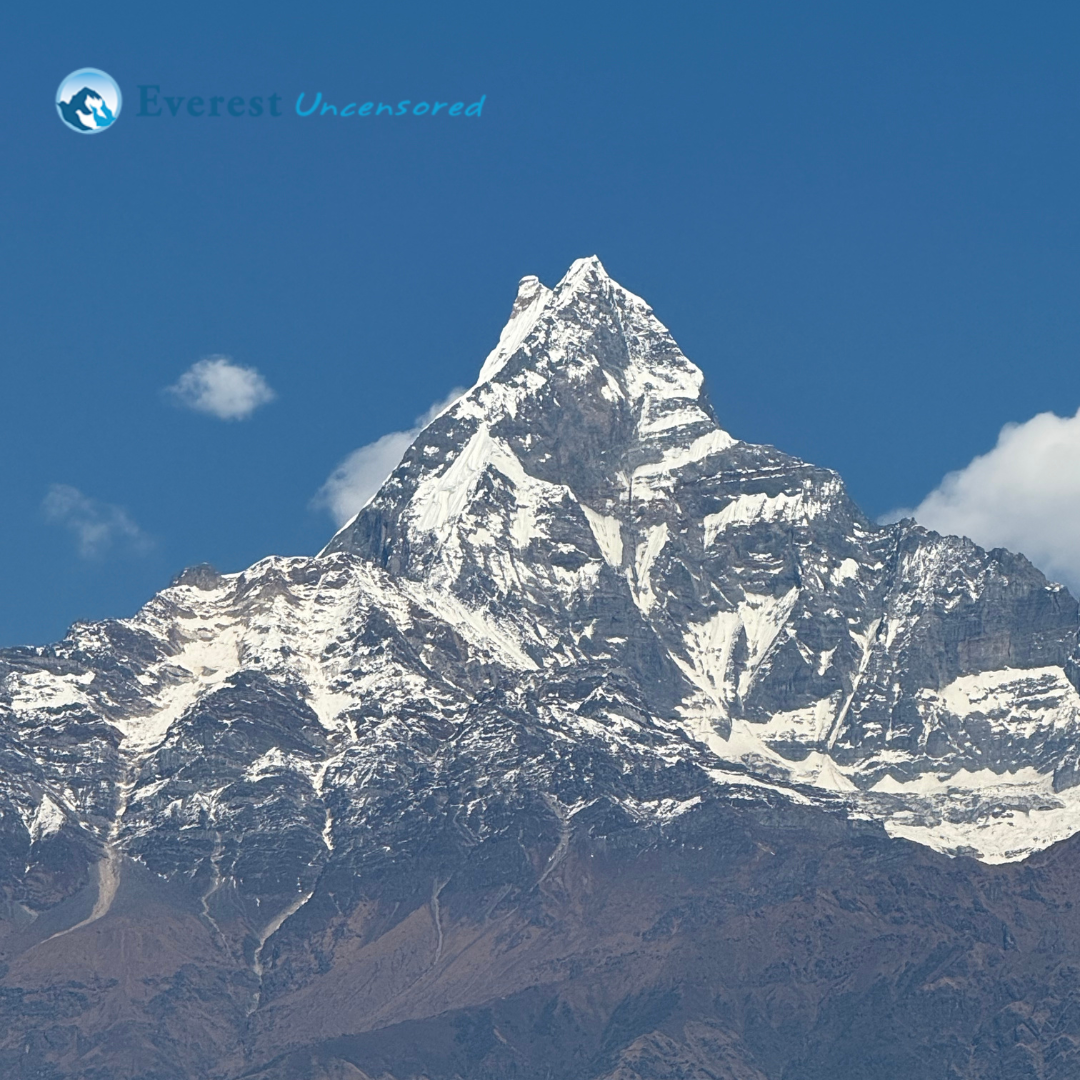 DPS hike to Dhampus | Grade IX and X