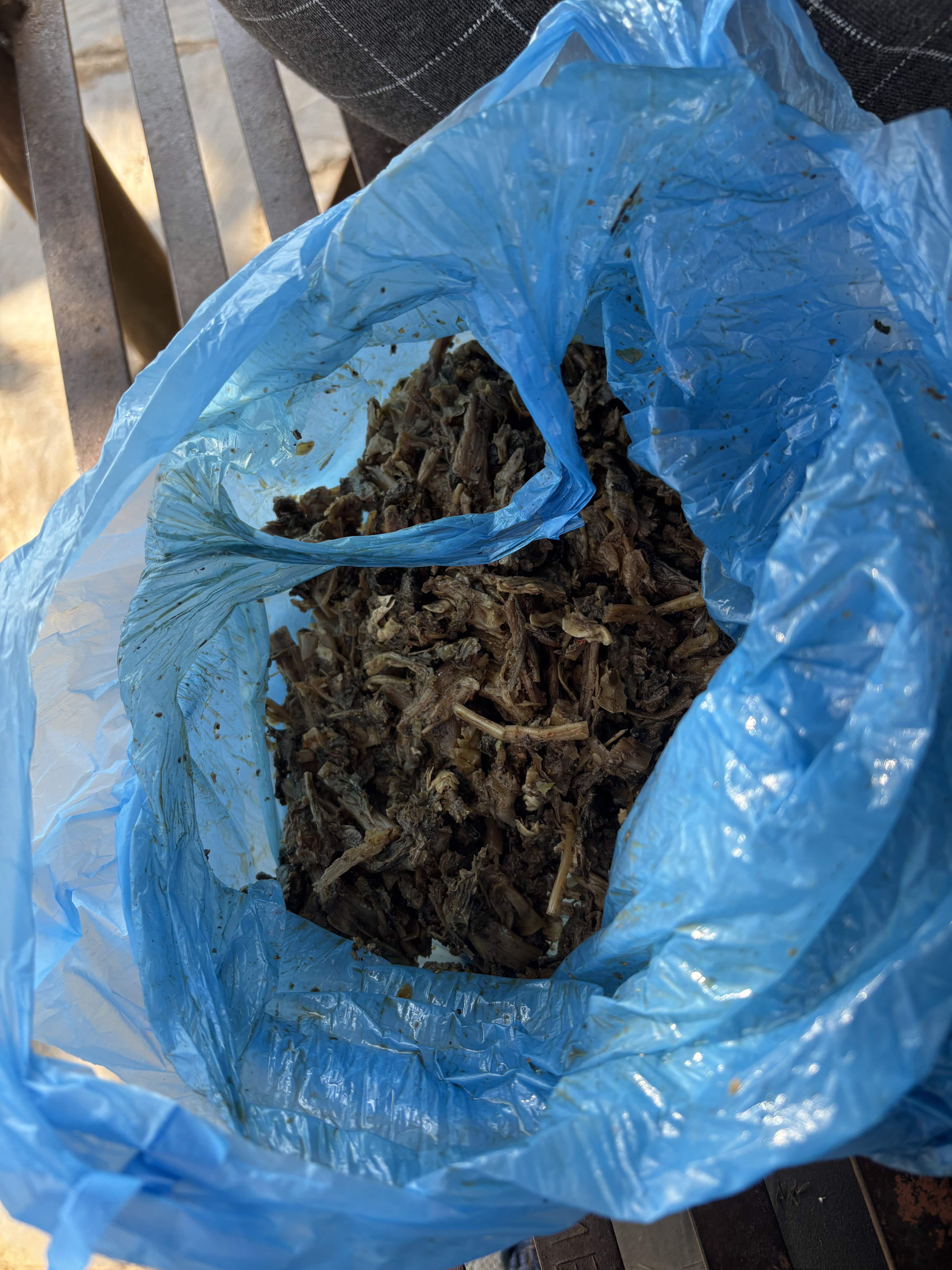 DDS Hike to Kot Kalika