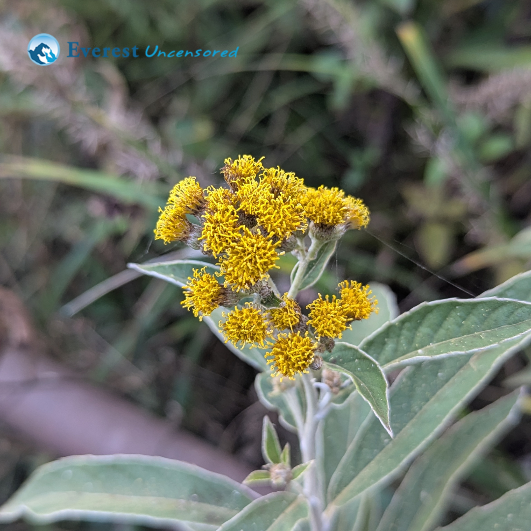 One-Day Hike to Ranikot