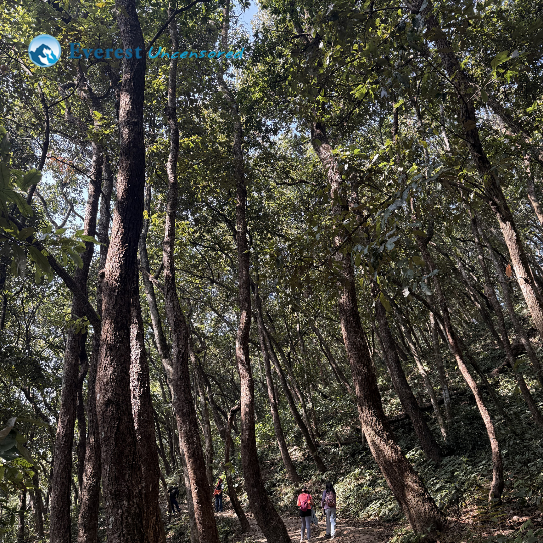 DPS Senior School Hike - Grade VI, VII & VIII | World Peace Pagoda Hike