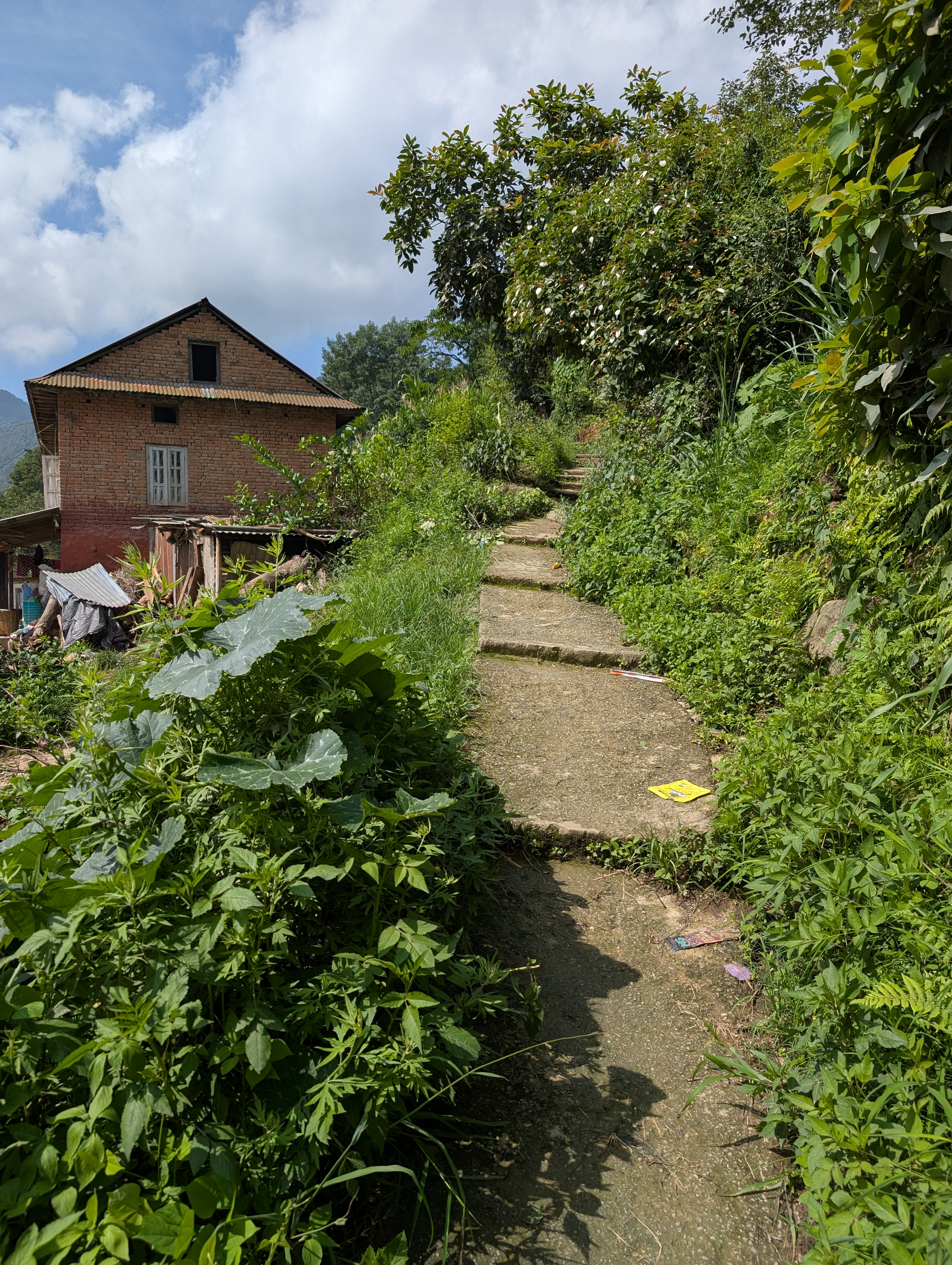 Deerhold and Deerwalk Group Hike: Monsoon Magic from Tika Bhairab to Dalchoki