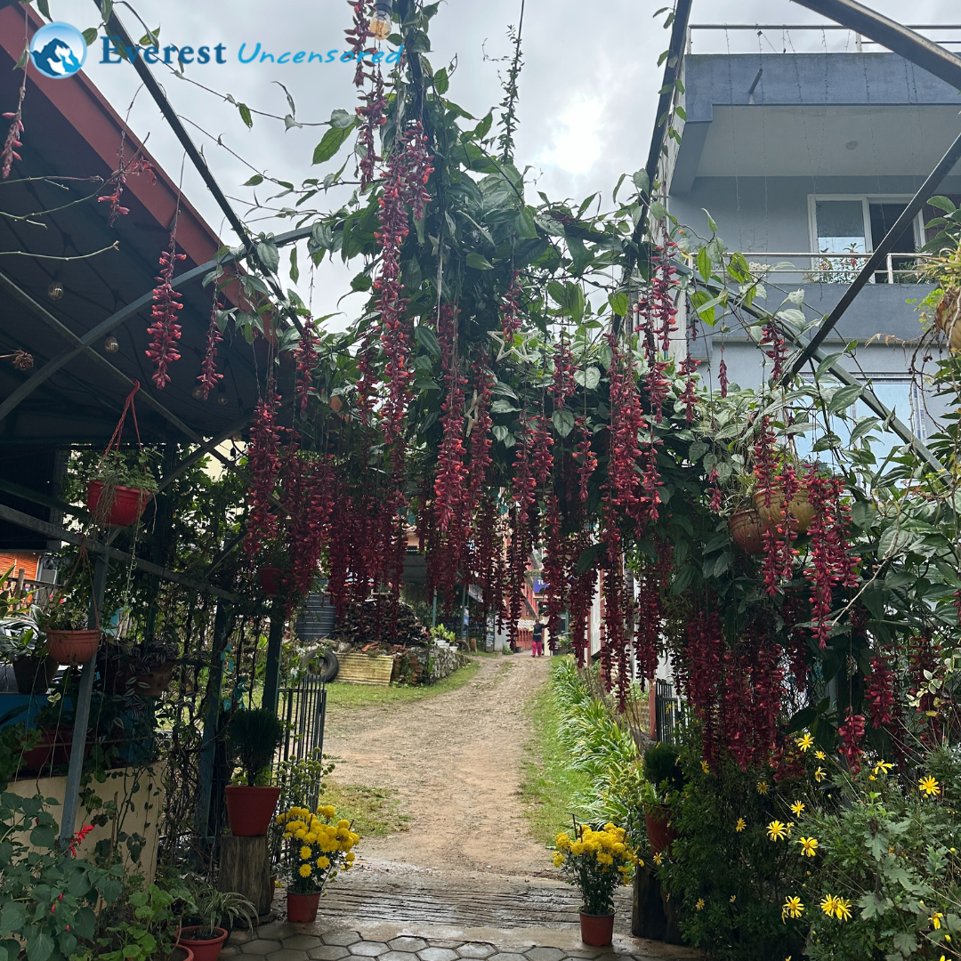 Hike from Godavari to Lakuri Bhanjyang