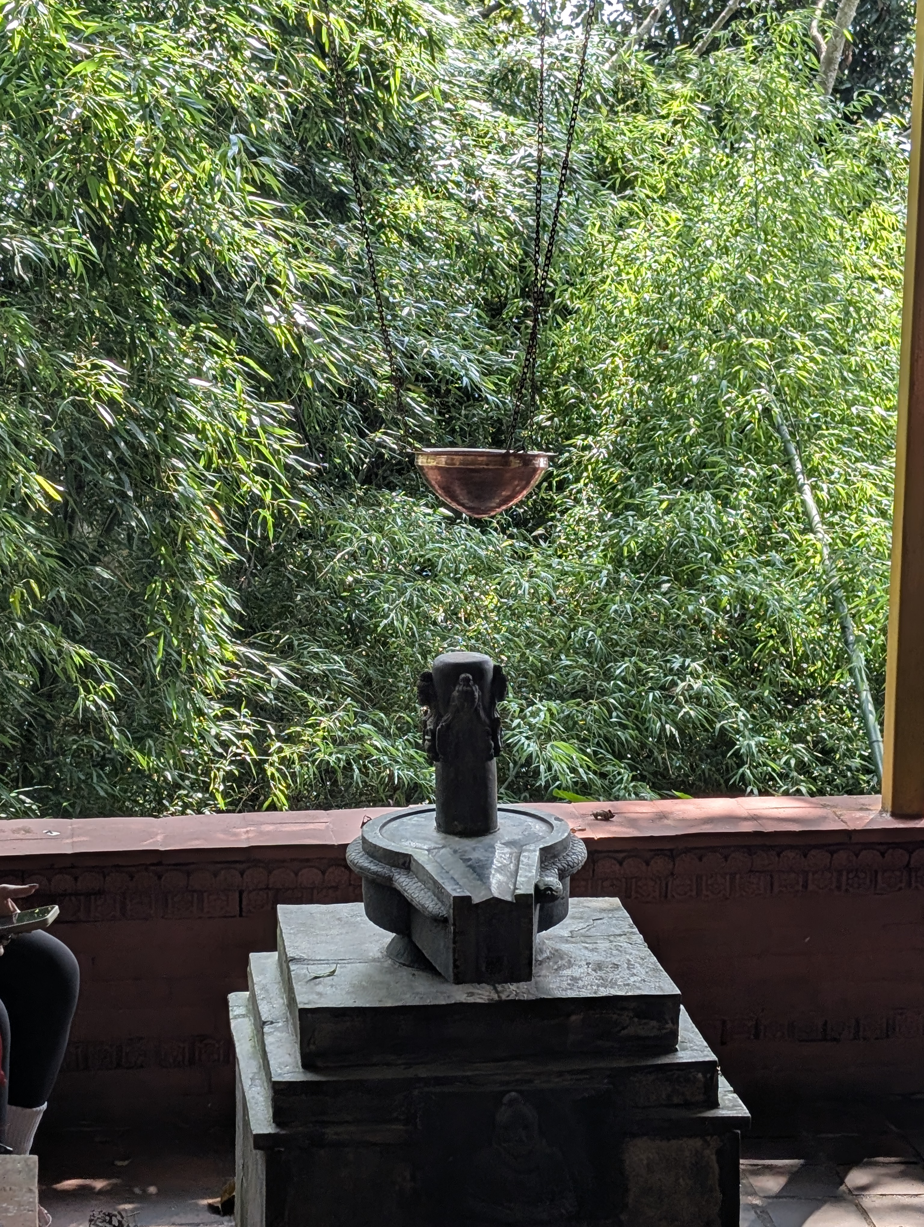 From Gurje Bhanjyang to Kakani: A Journey to Remember