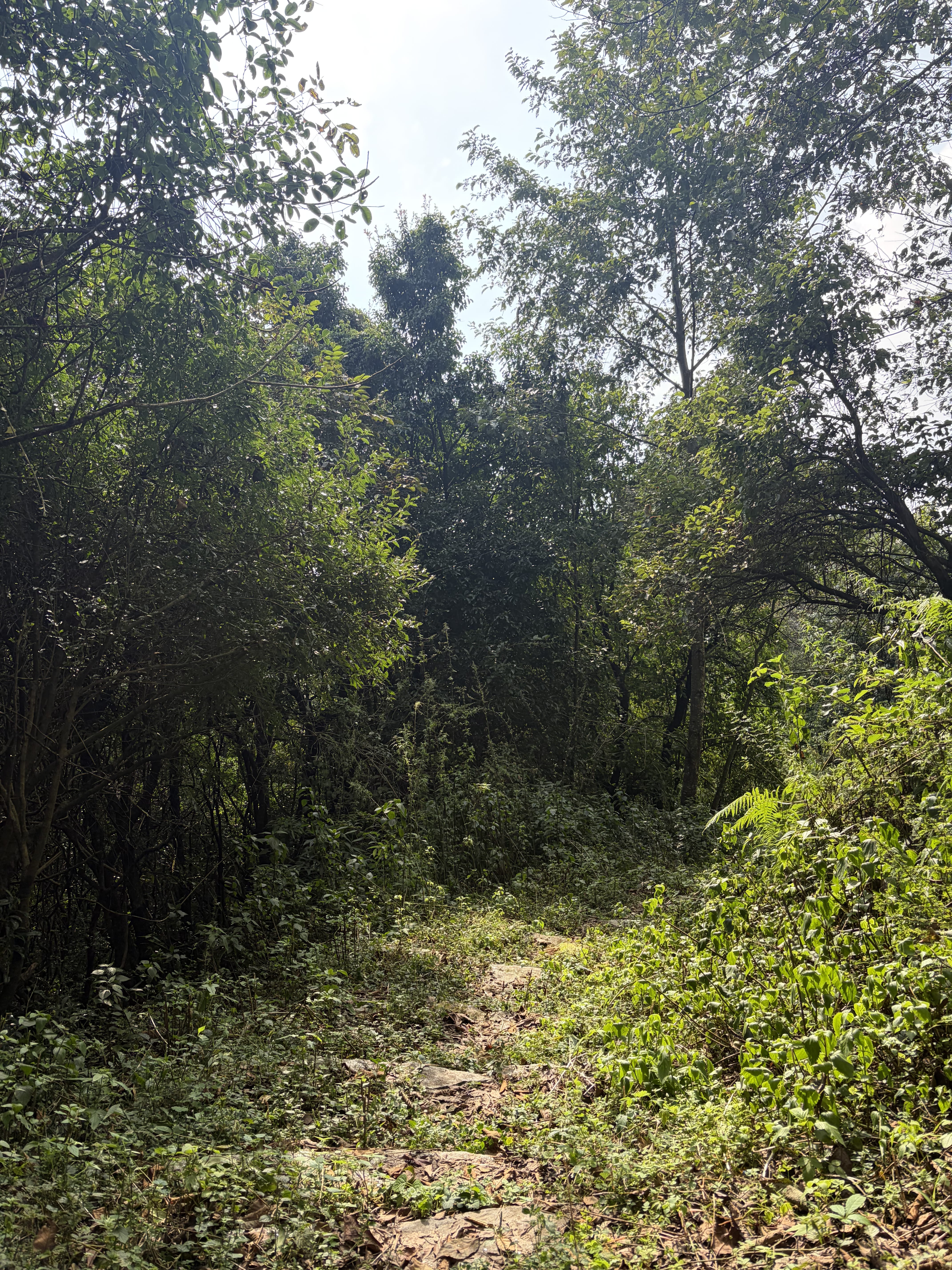 From Gurje Bhanjyang to Kakani: A Journey to Remember