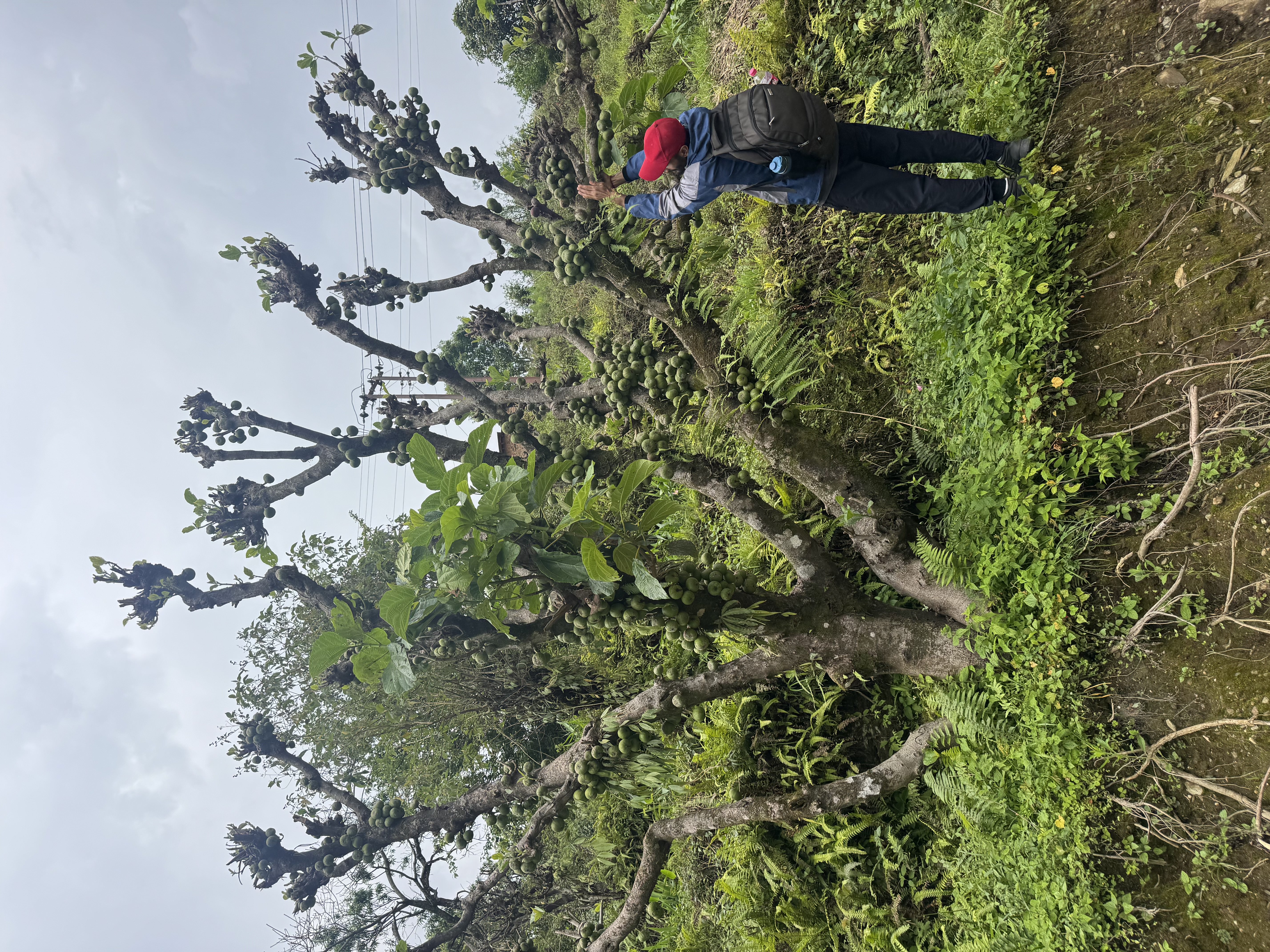 Staff Hike of Deerwalk Pokhara School - Bhalam To Aantighar Via Armalakot