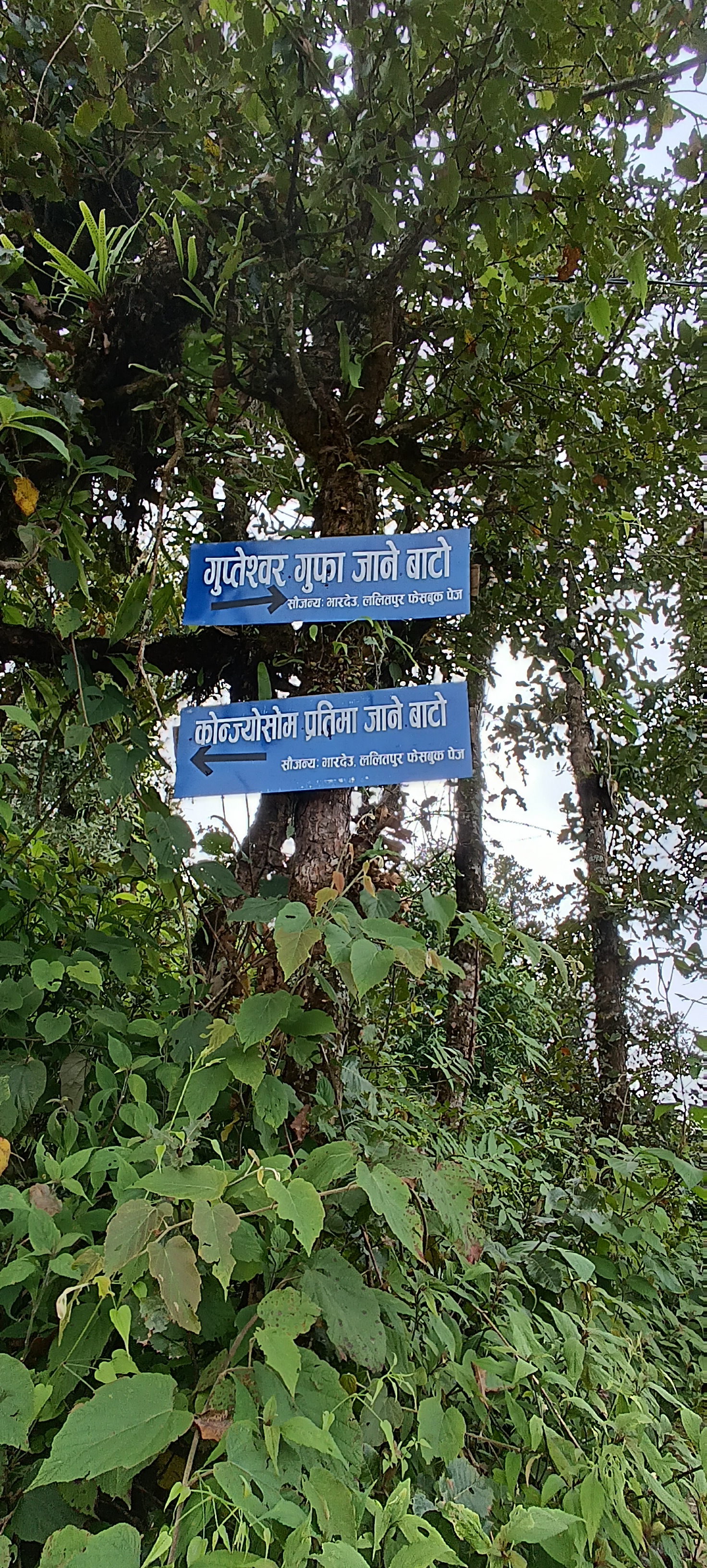 Hike to Konjyosom Pratima & Gupteshwor Mahadev Gufa