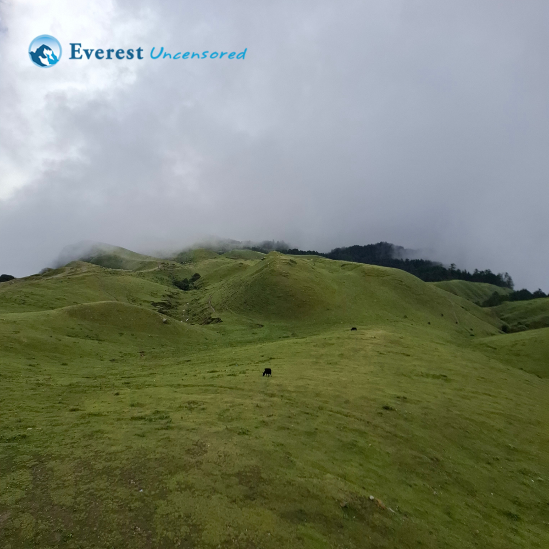 DDS Hiking and Biking  to Sailung