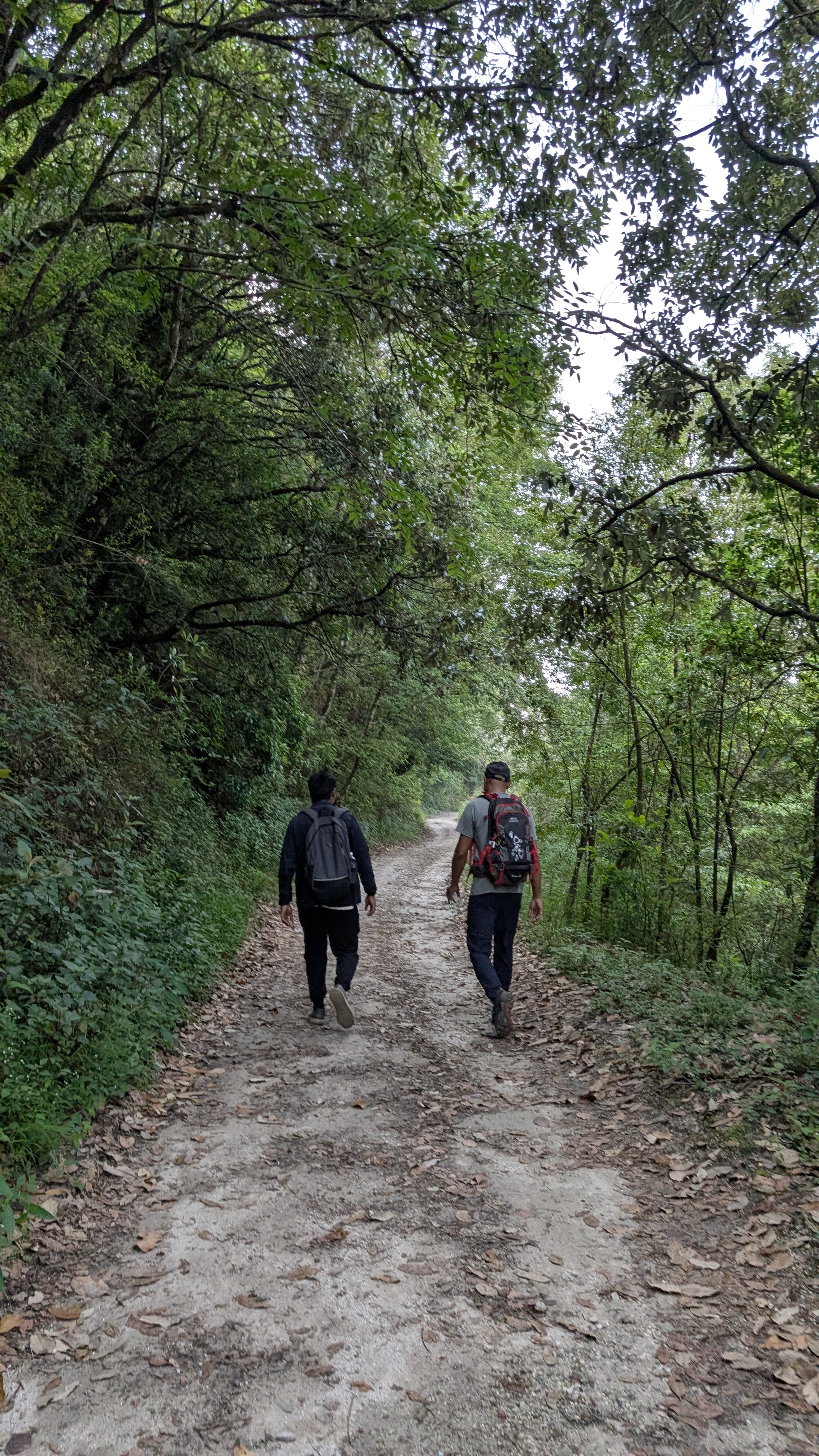 Shivapuri to Sundarijal Hiking Adventure with Deerhold