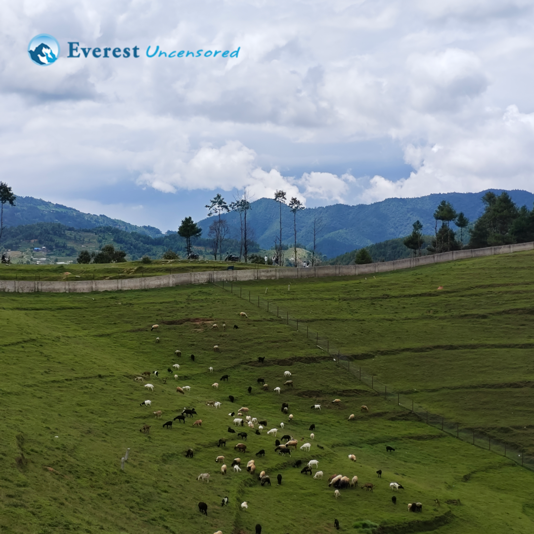 Hike to Kulekhani-Markhu