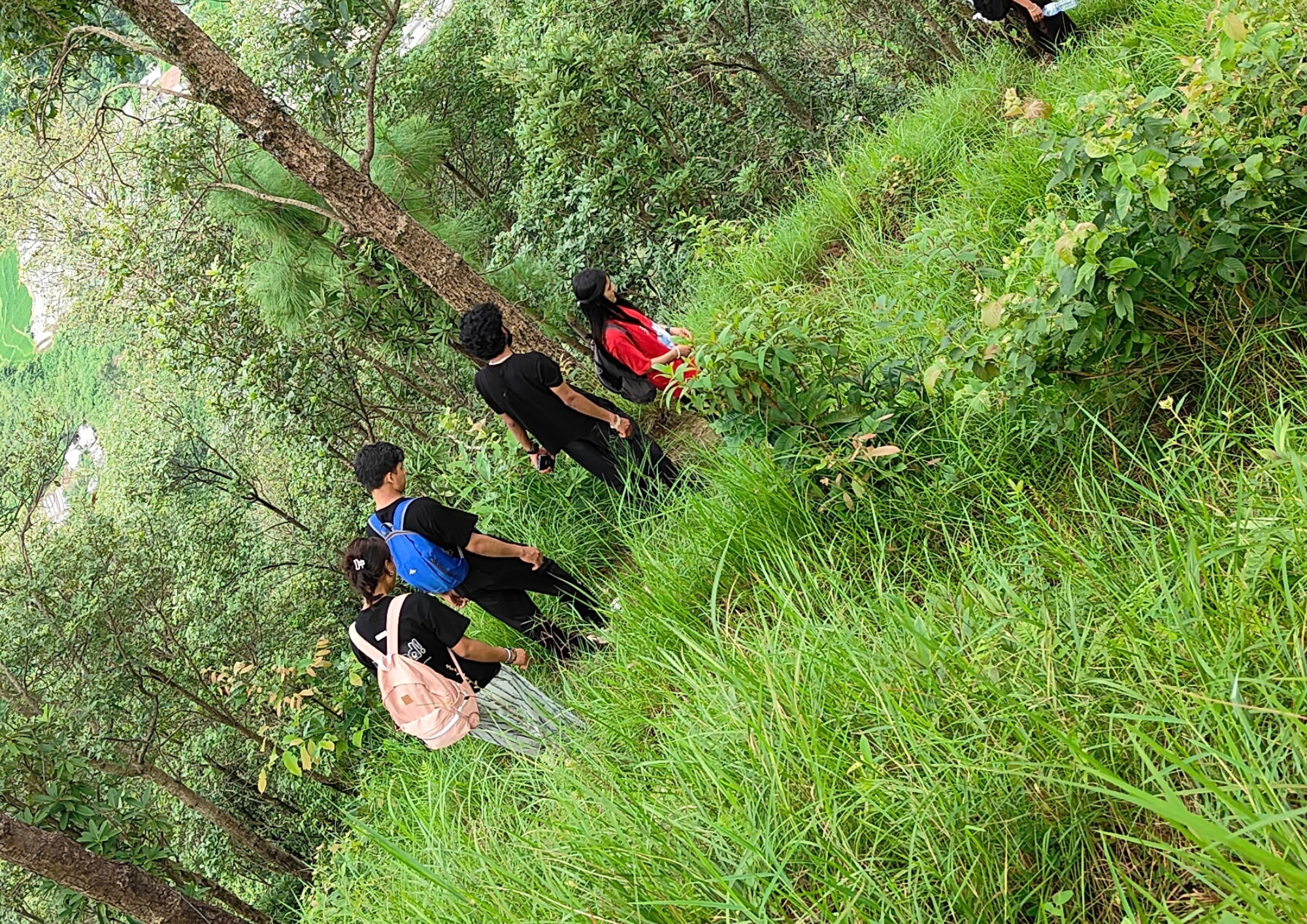 A Day of Adventure: Hiking to Kafal Chaur