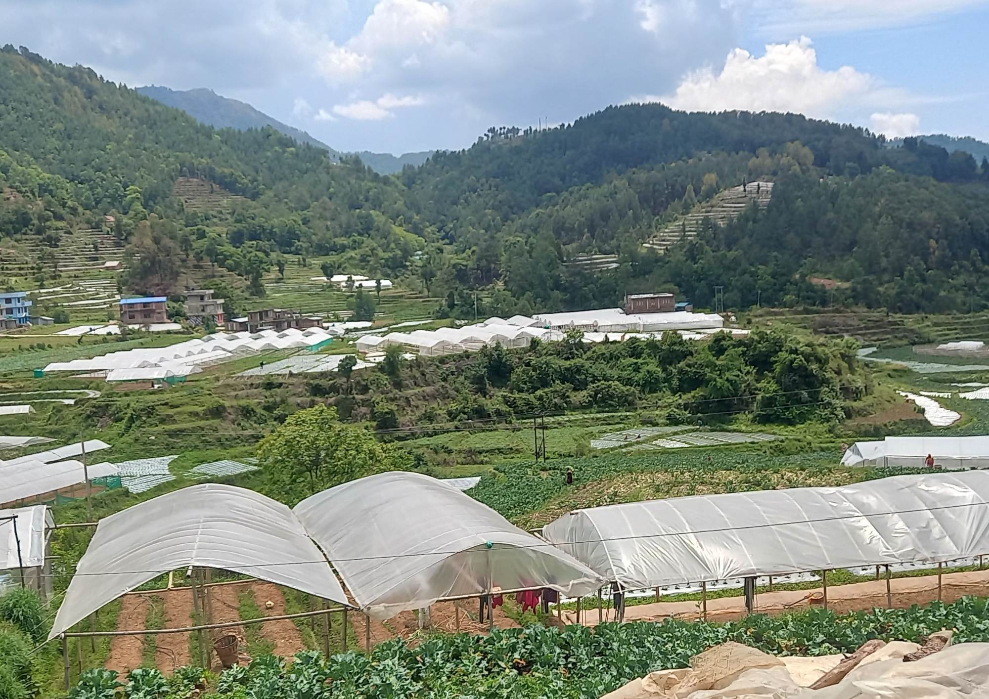 An Unforgettable Hiking Adventure to Kulekhani