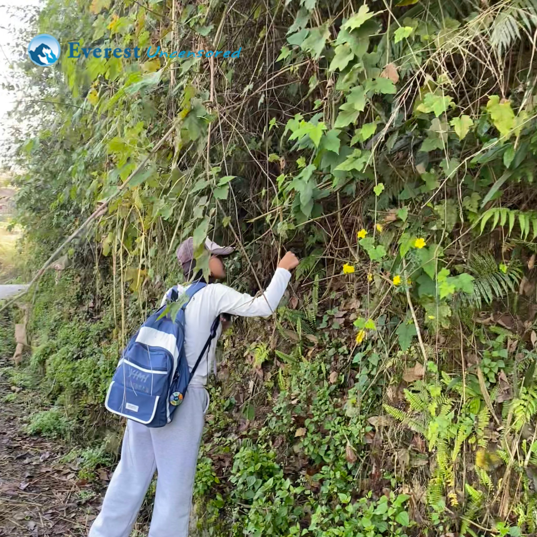 DPS Senior School Hike - Grade IX & X