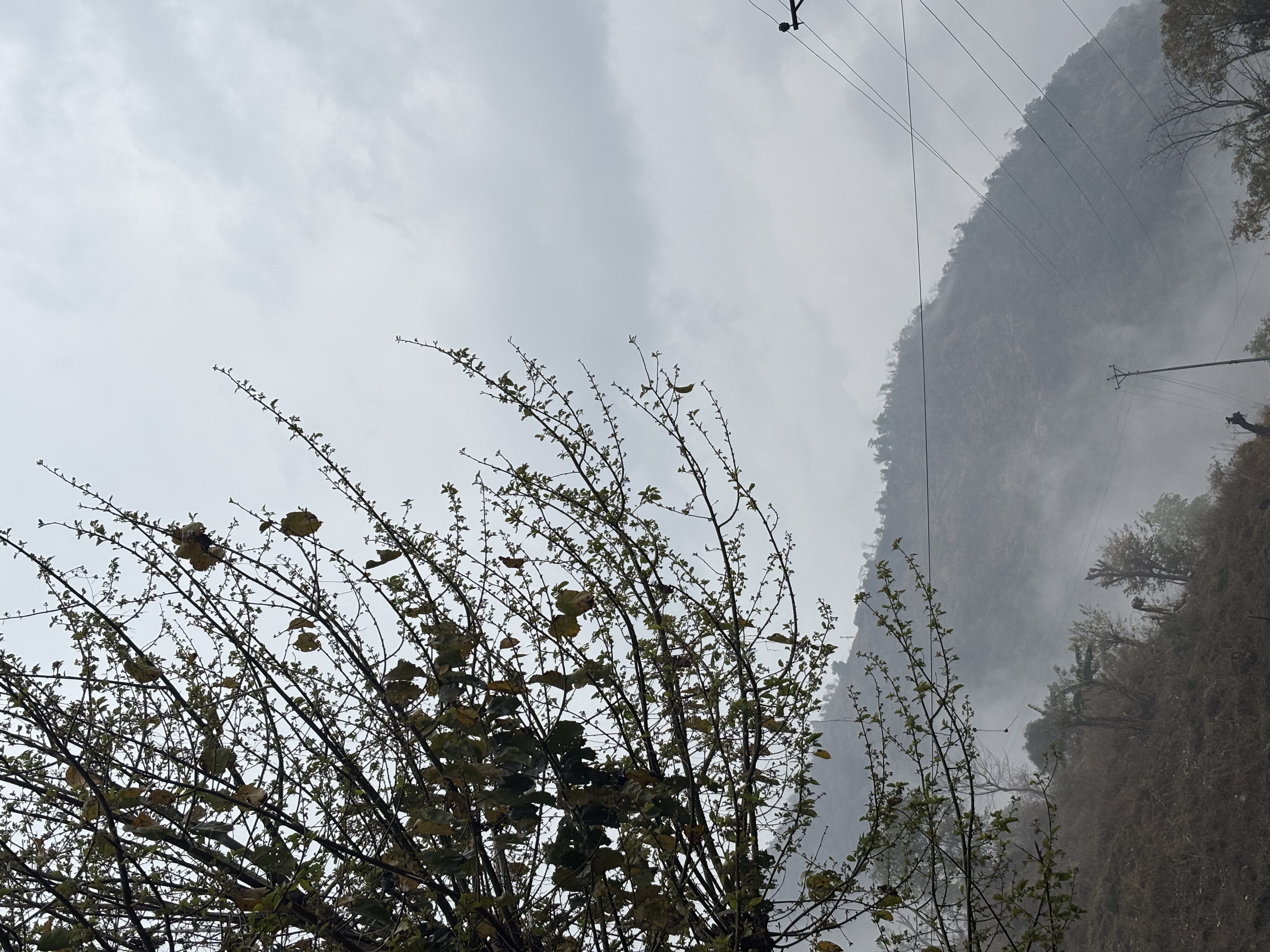 One Day Hike to Latambeshwor Mahadev