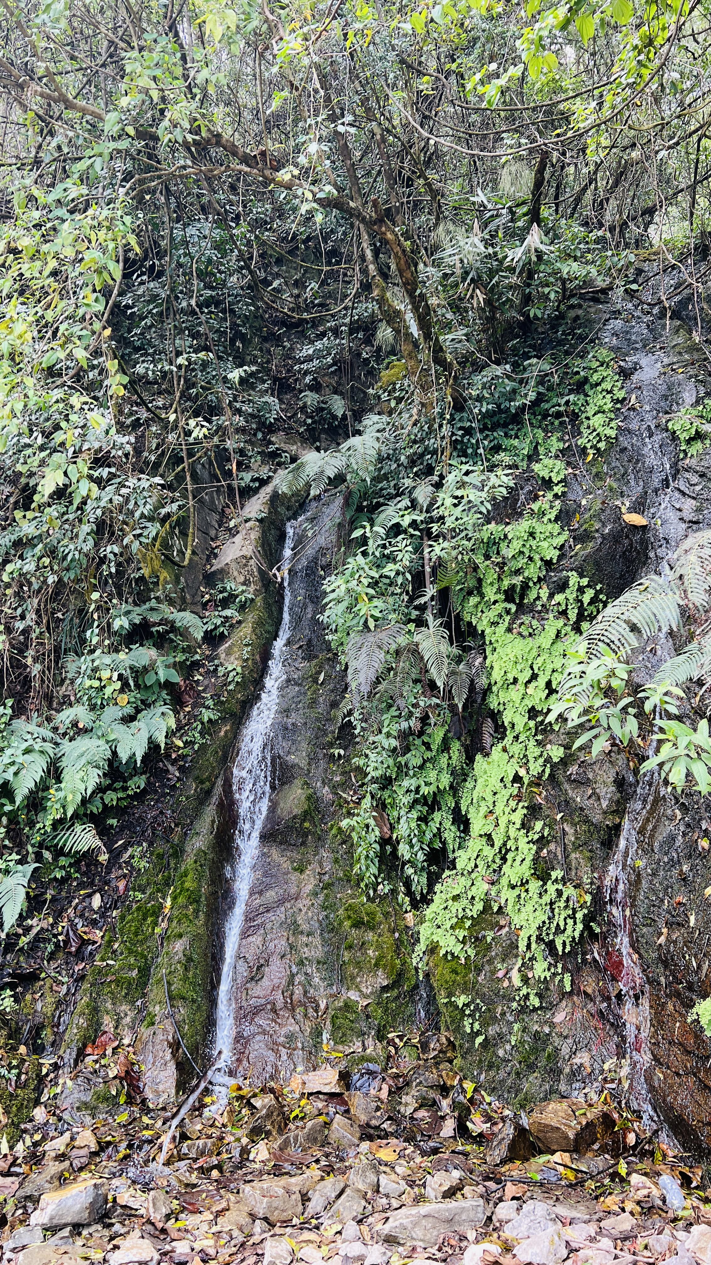 DDS to Bhimphedi to Latarambeshwor Mahadev