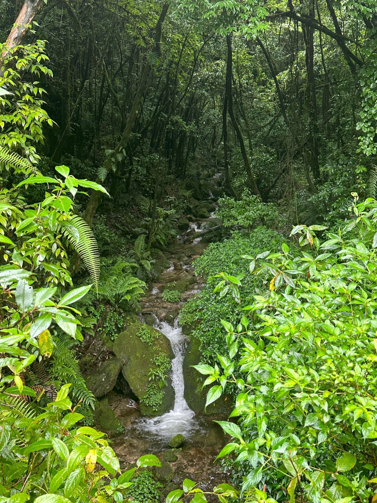 Hike to Chisapani
