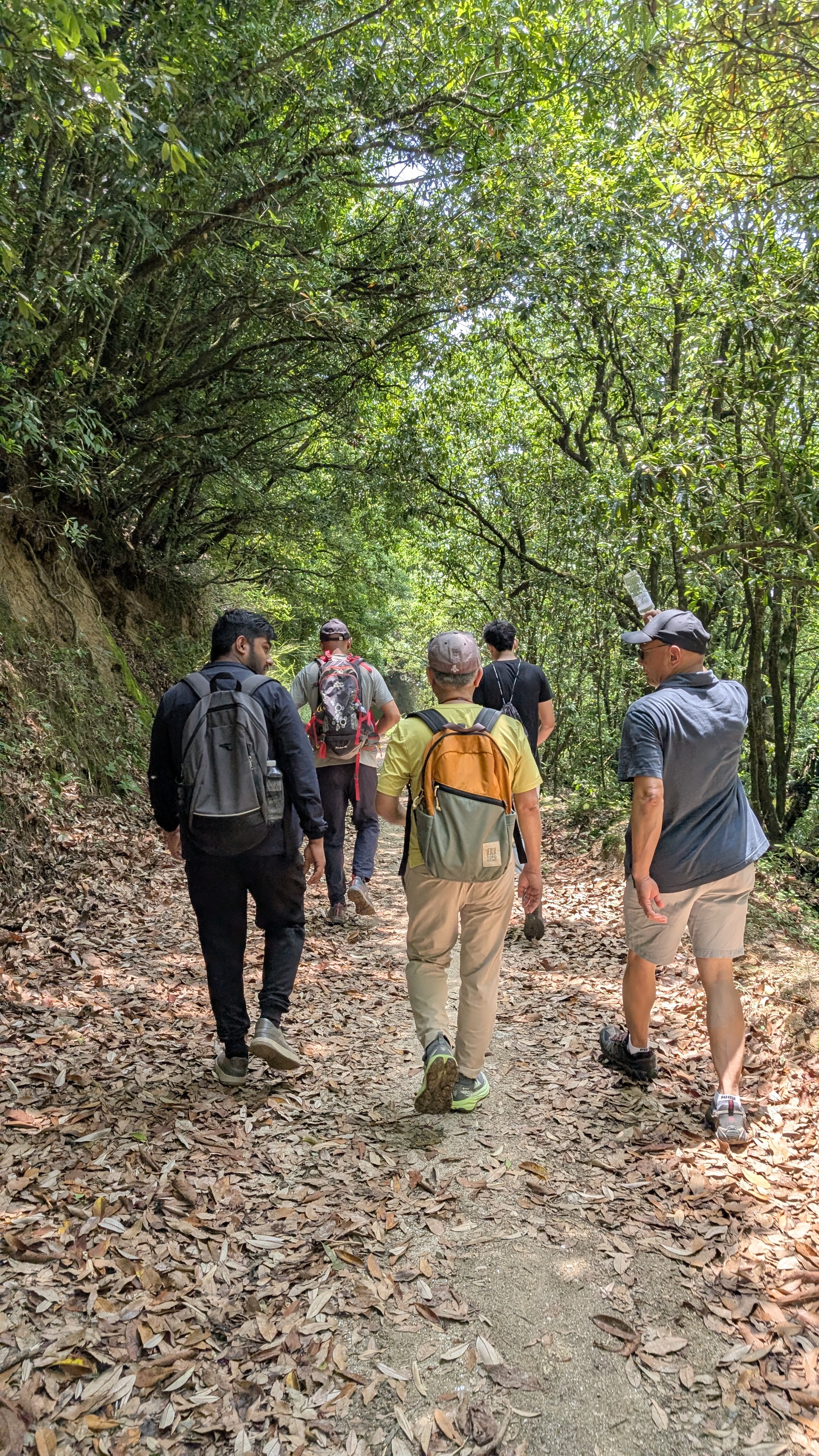 Shivapuri to Sundarijal Hiking Adventure with Deerhold