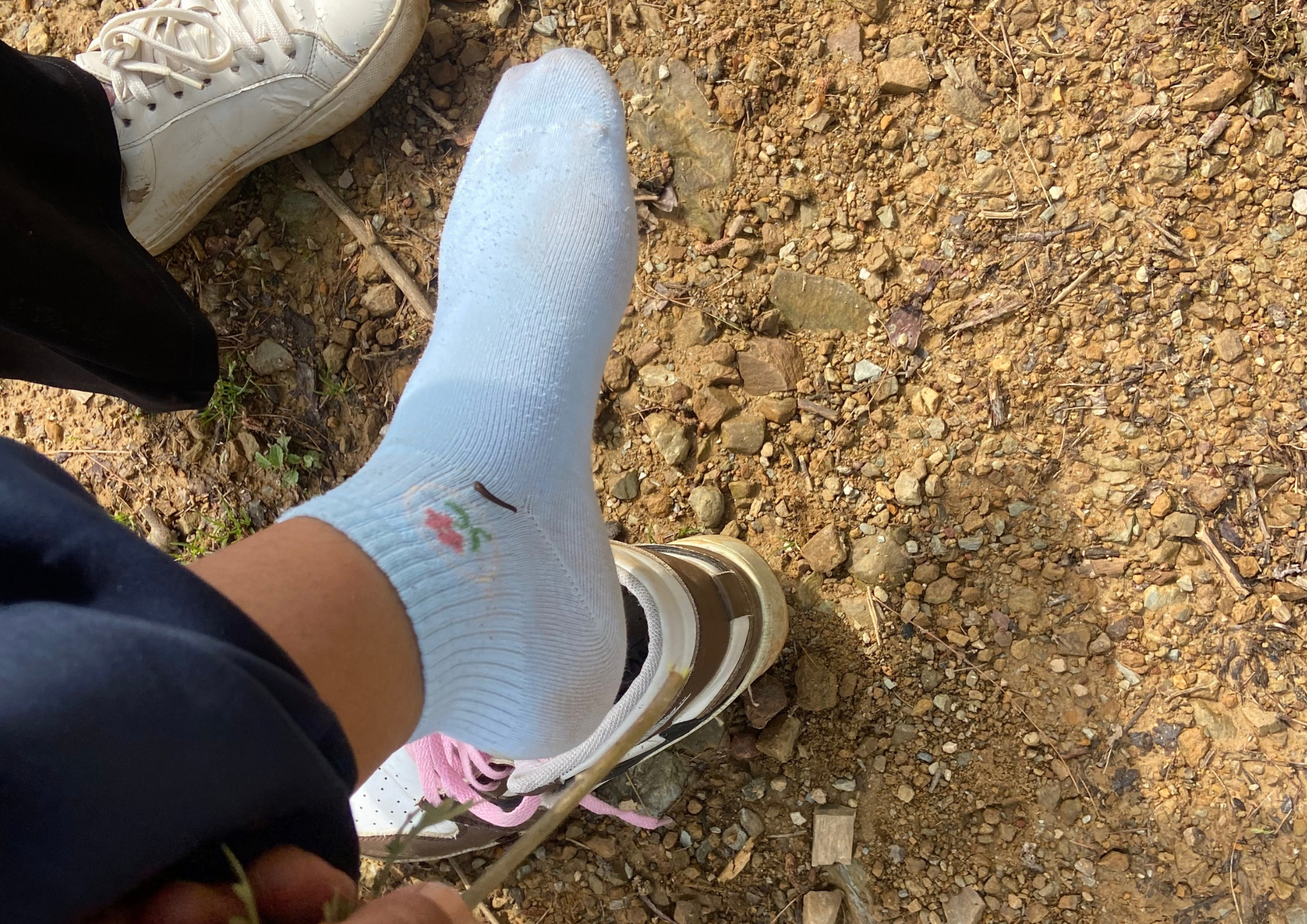 An Unforgettable Hiking Adventure to Kulekhani