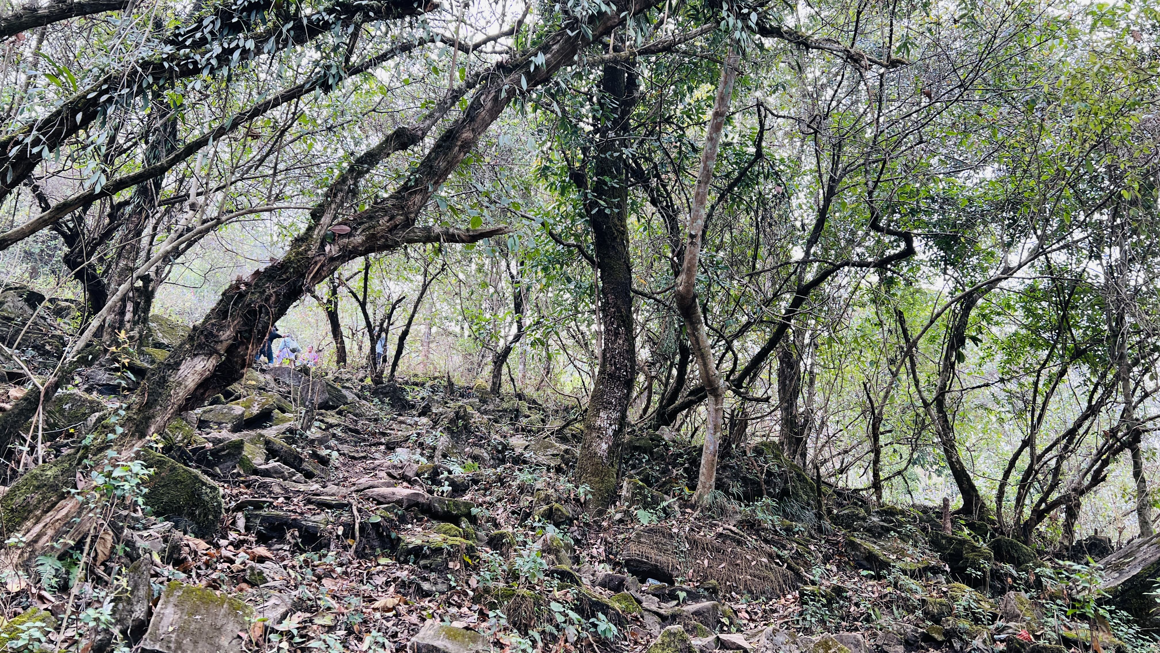 DDS to Bhimphedi to Latarambeshwor Mahadev