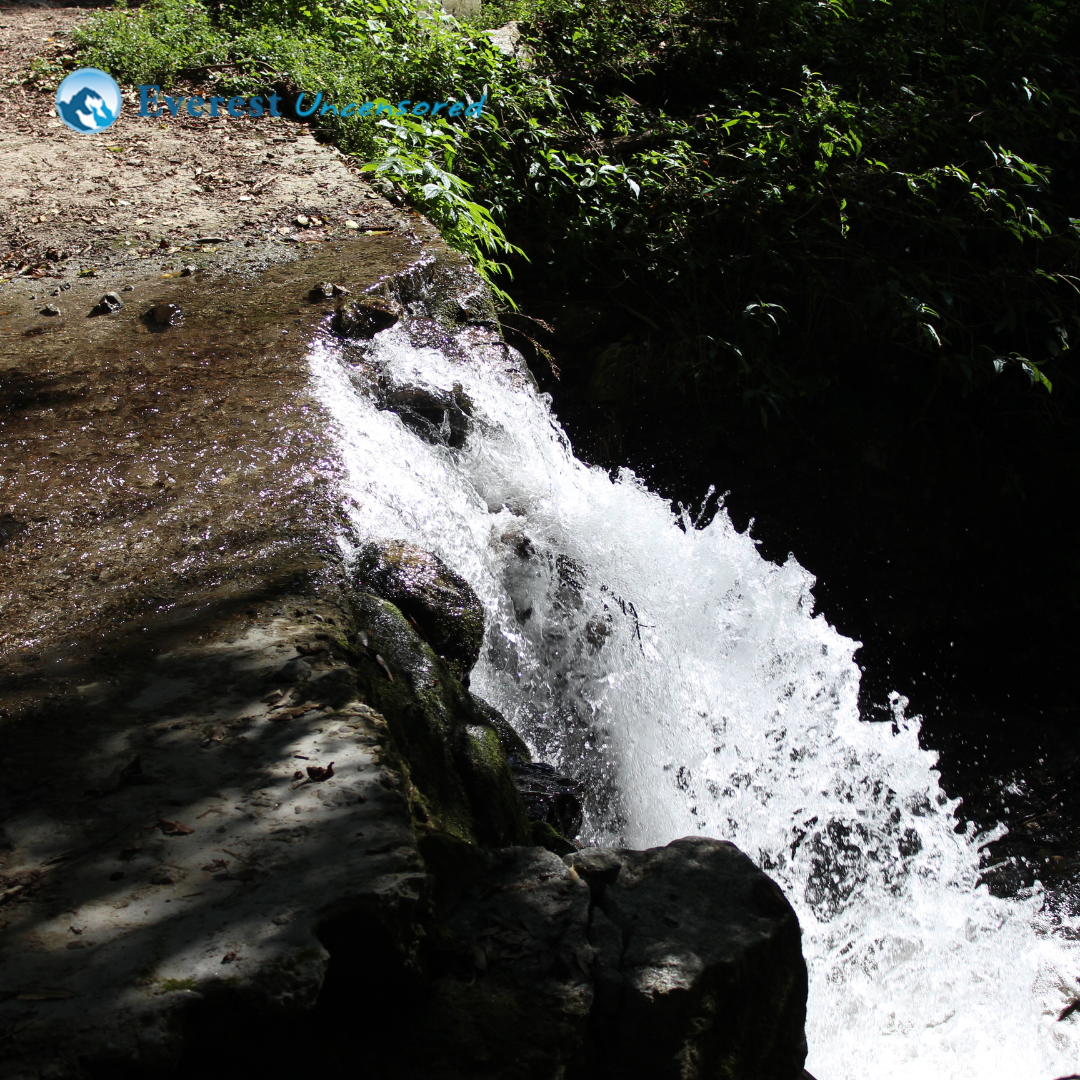 DSS Hike from Panimuhan to Baghdwar | Grade XII