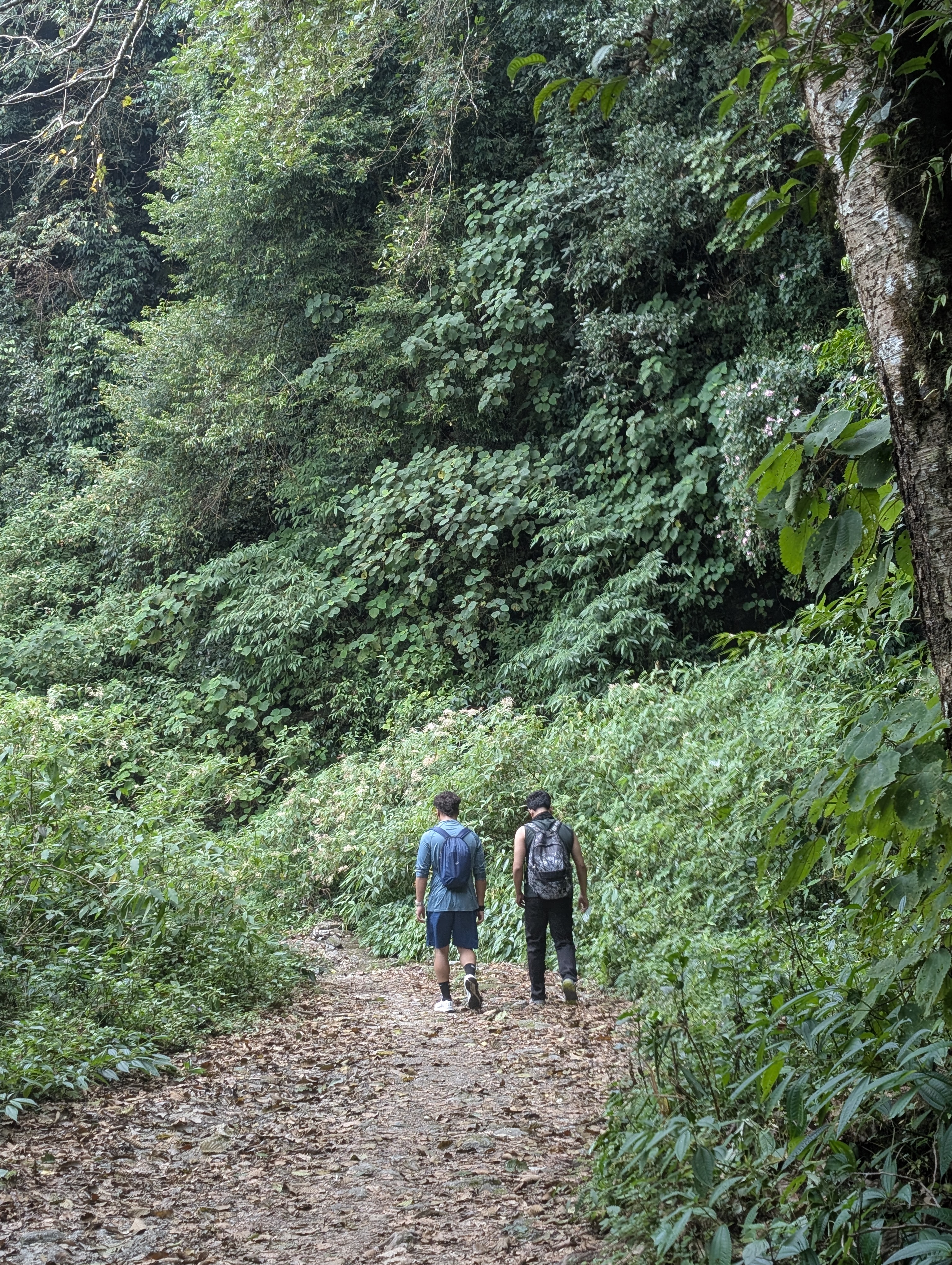 From Gurje Bhanjyang to Kakani: A Journey to Remember