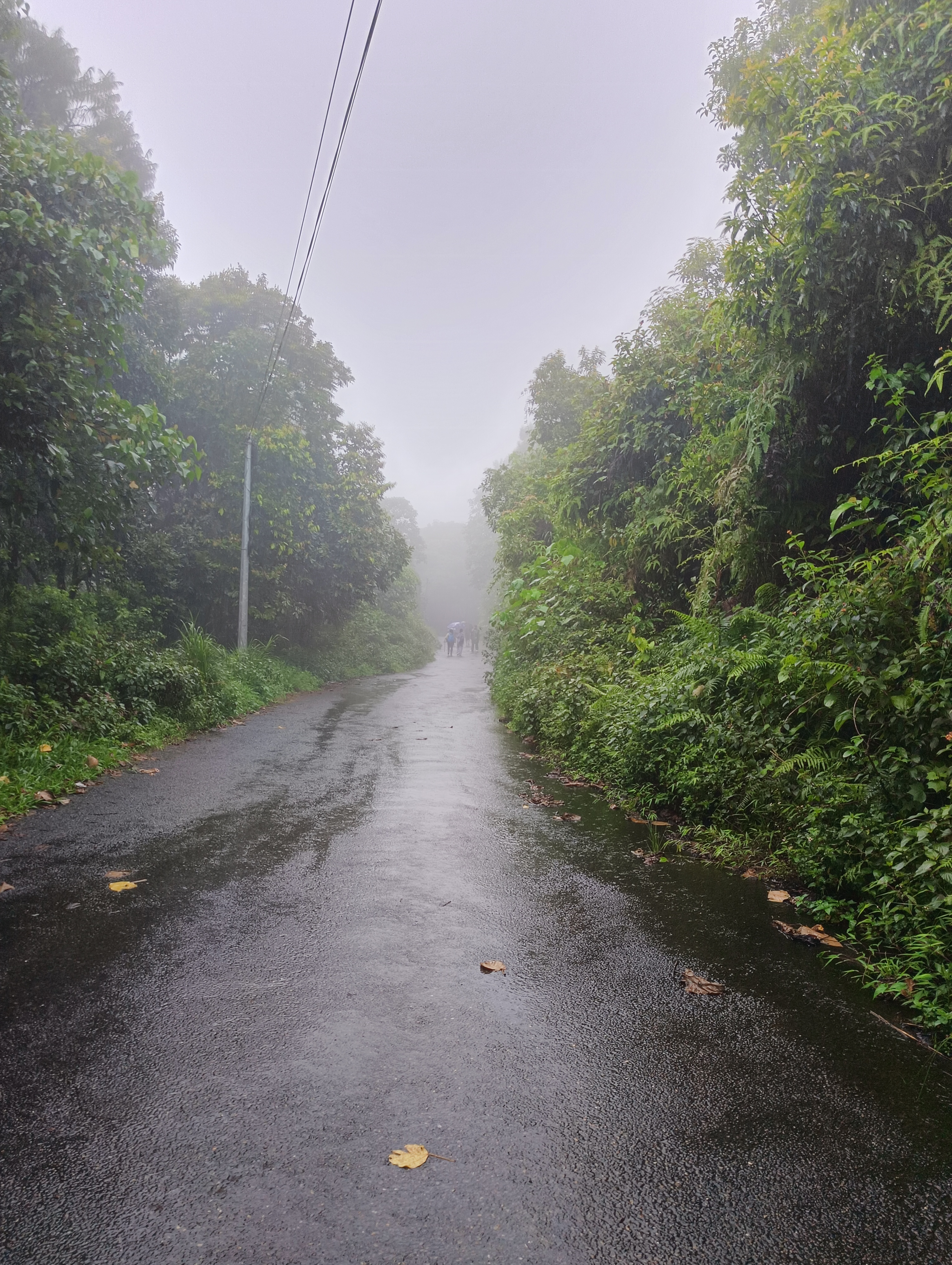 Staff Hike of Deerwalk Pokhara School - Sarangkot to Naudanda via Kaski Kot