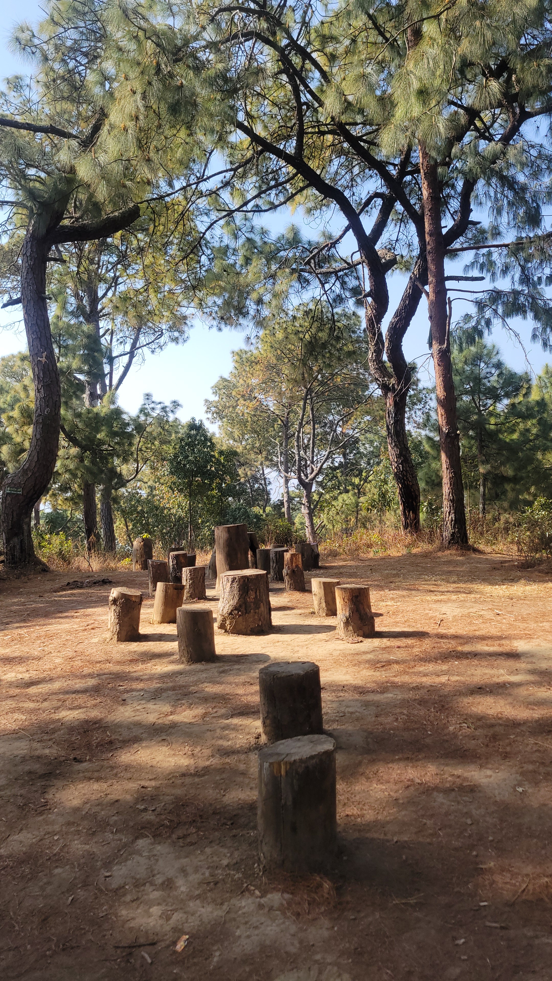 Hike from Hattiban to Chhap Dada