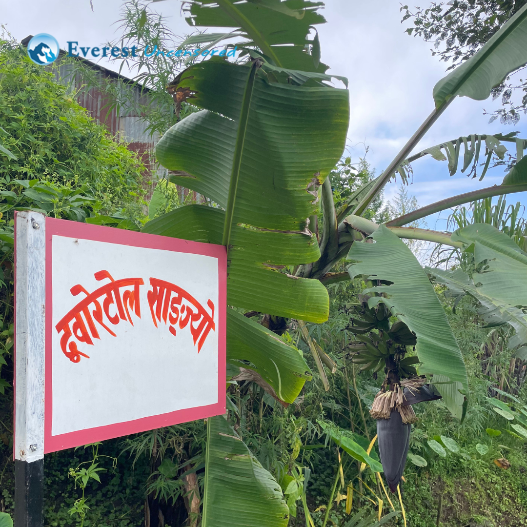 Hike to Jarsing Pauwa