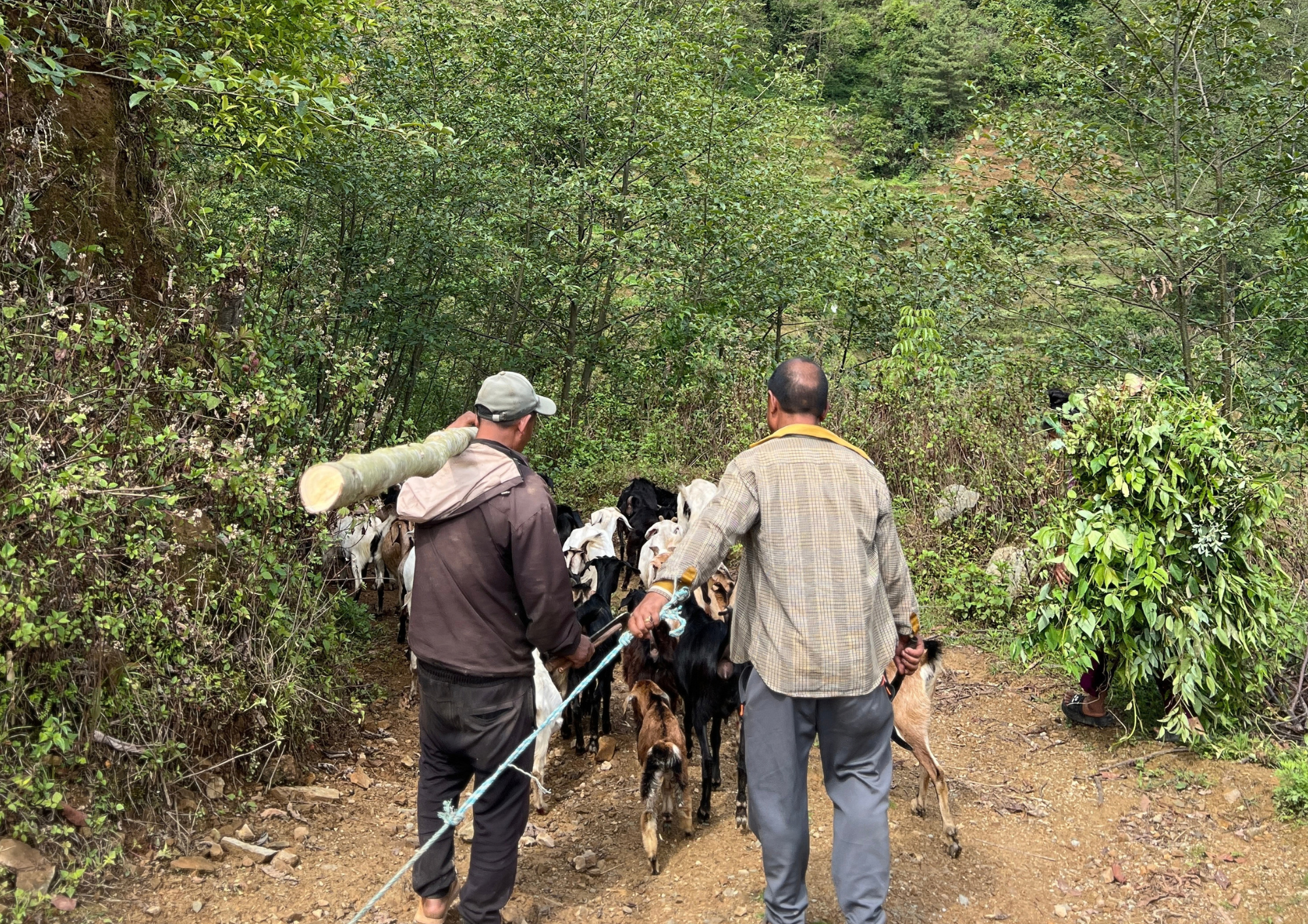 An Unforgettable Hiking Adventure to Kulekhani