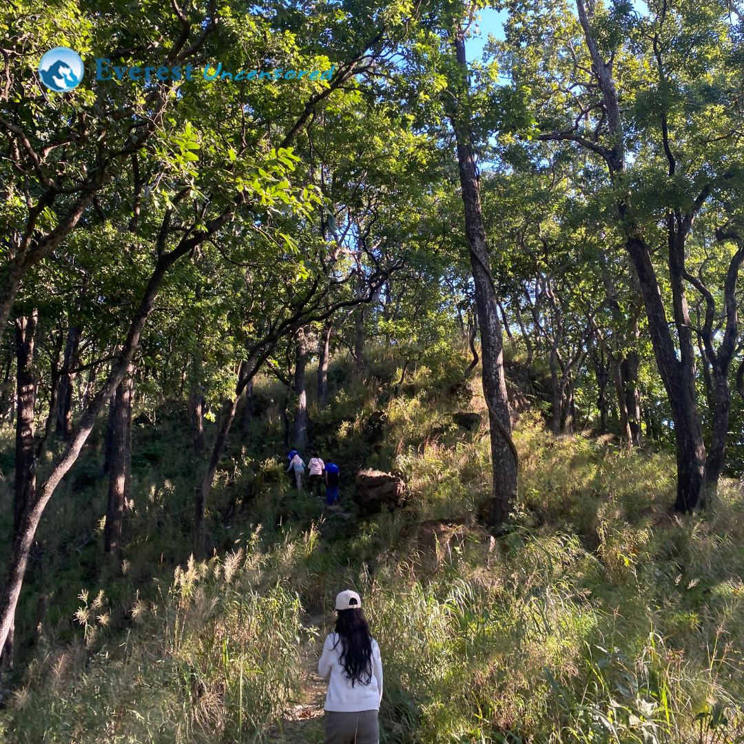 DBS hike to Someshowor Gadi, Madi