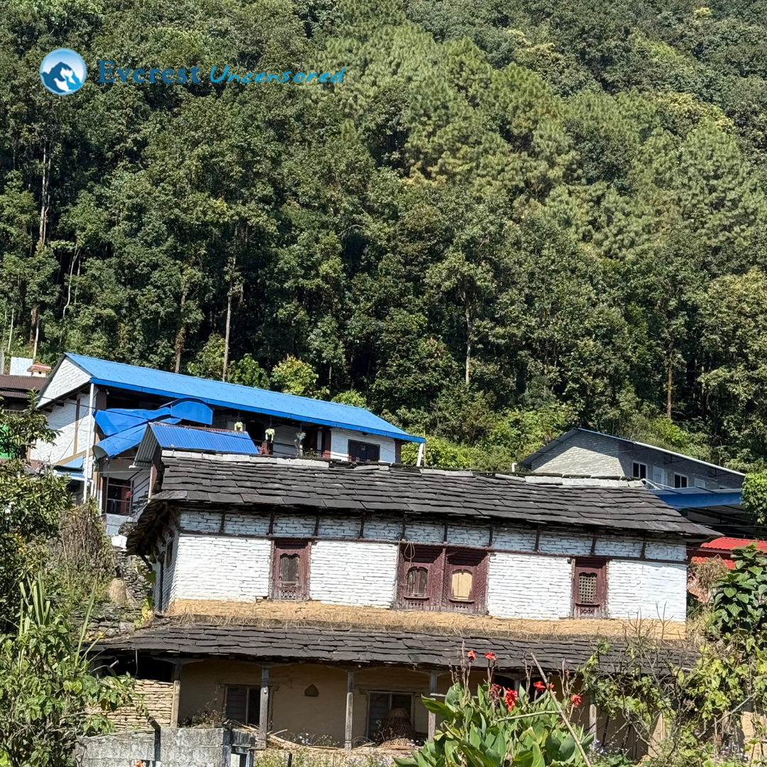 DPS hike to Dhampus | Grade IX and X