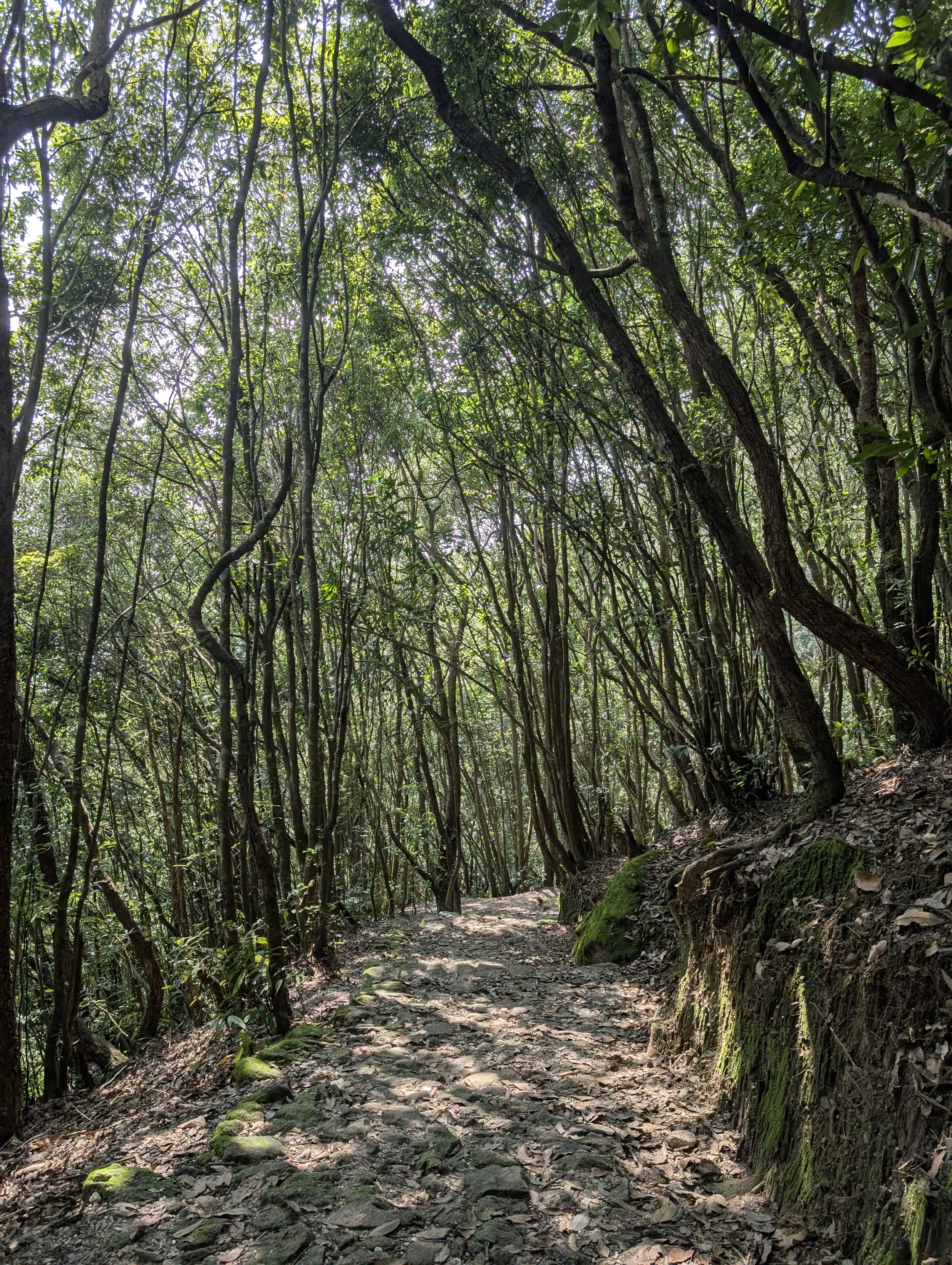 From Gurje Bhanjyang to Kakani: A Journey to Remember