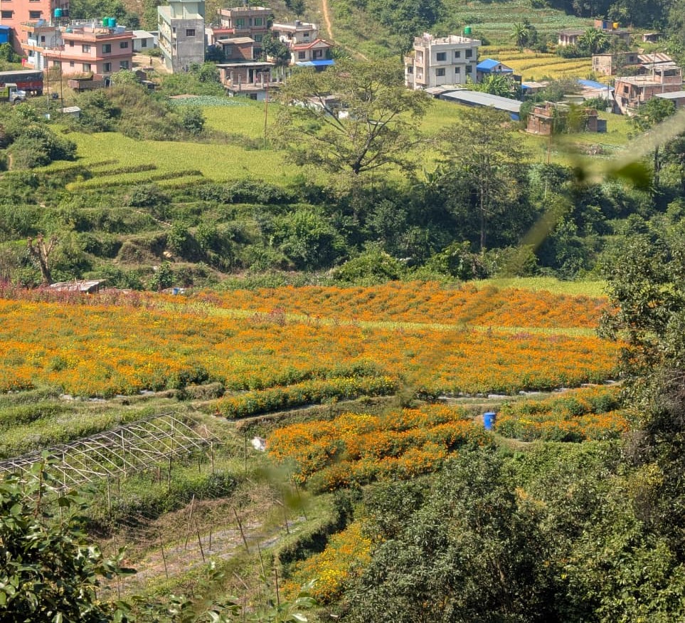 Dhading Hike: Baadbhanjyang – Kanakot – Spider Resort