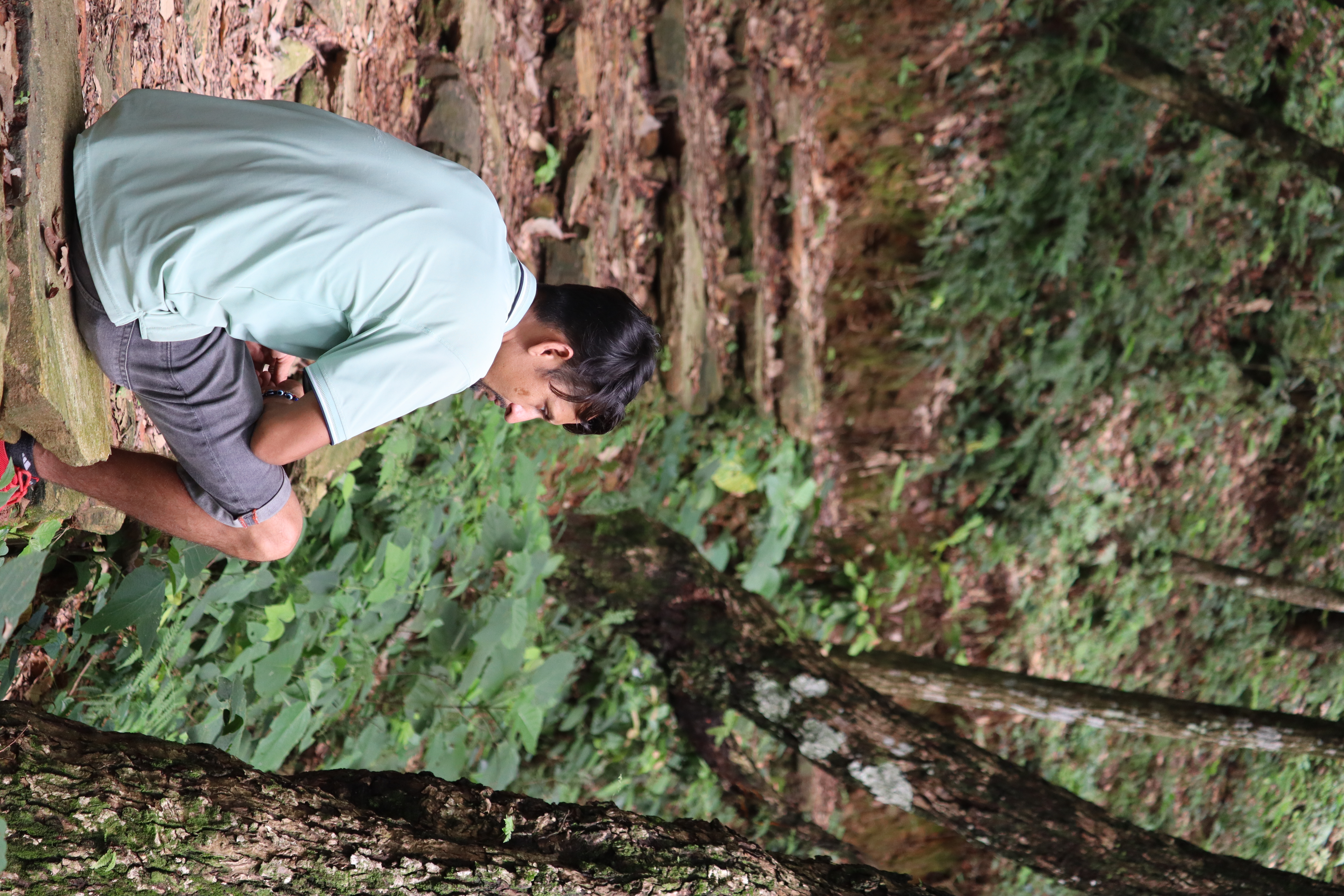 DPS Faculty Hike: Hike to World Peace Stupa