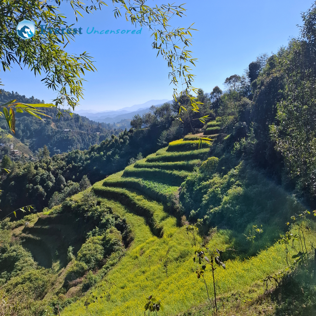 One-Day Hike to Ranikot