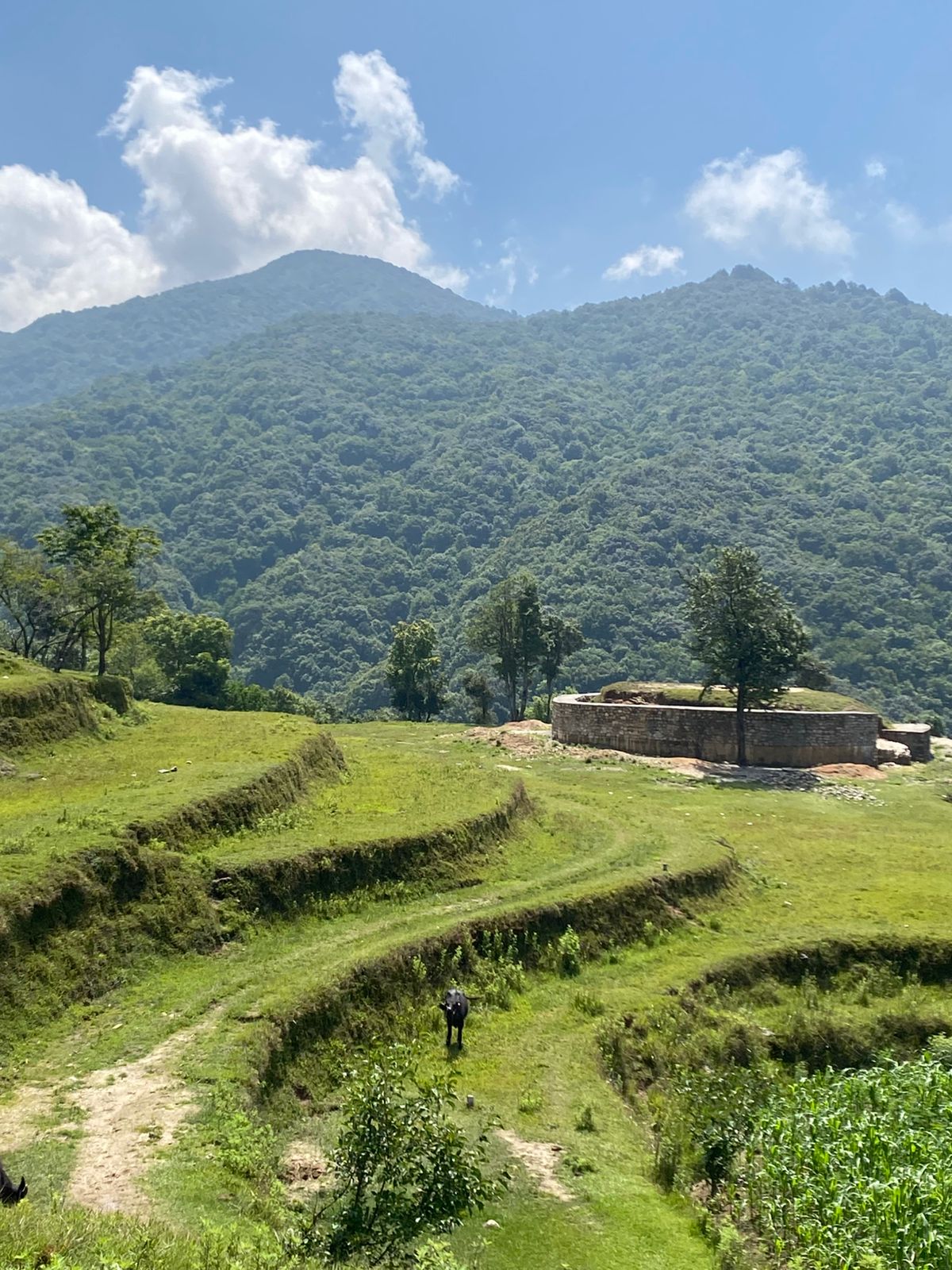 Staff Hike to Dhap Dam