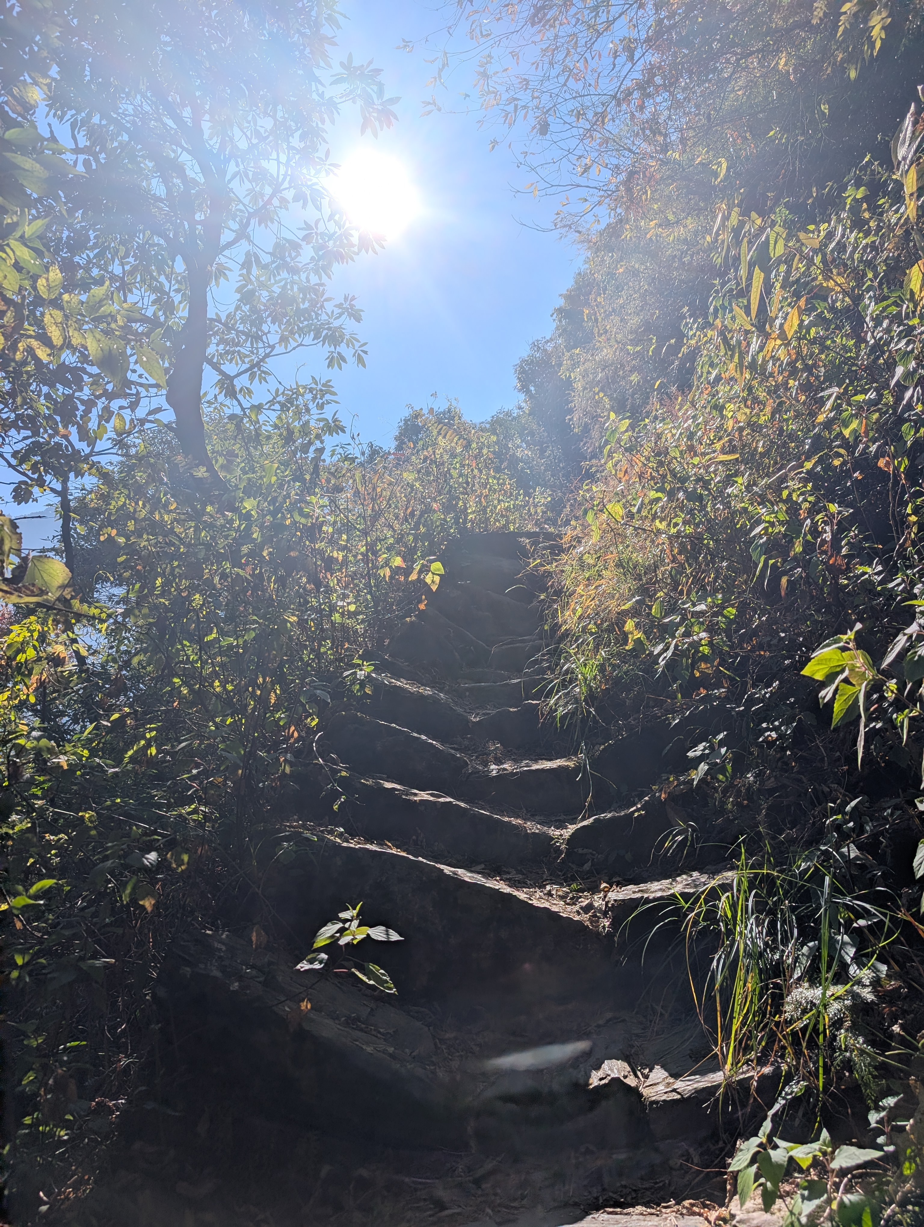 Deerhold Hike from Machchegaun to Chandragiri Hills