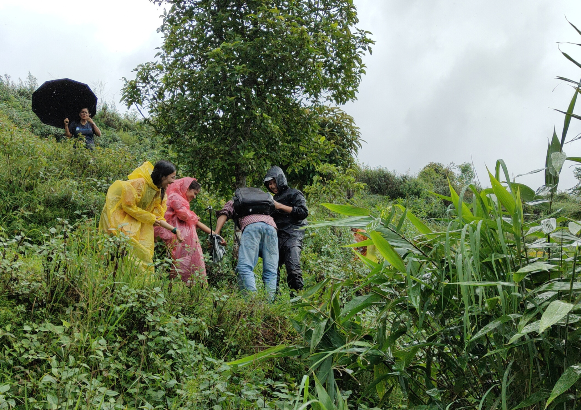 A Day of Adventure: Hiking to Kafal Chaur